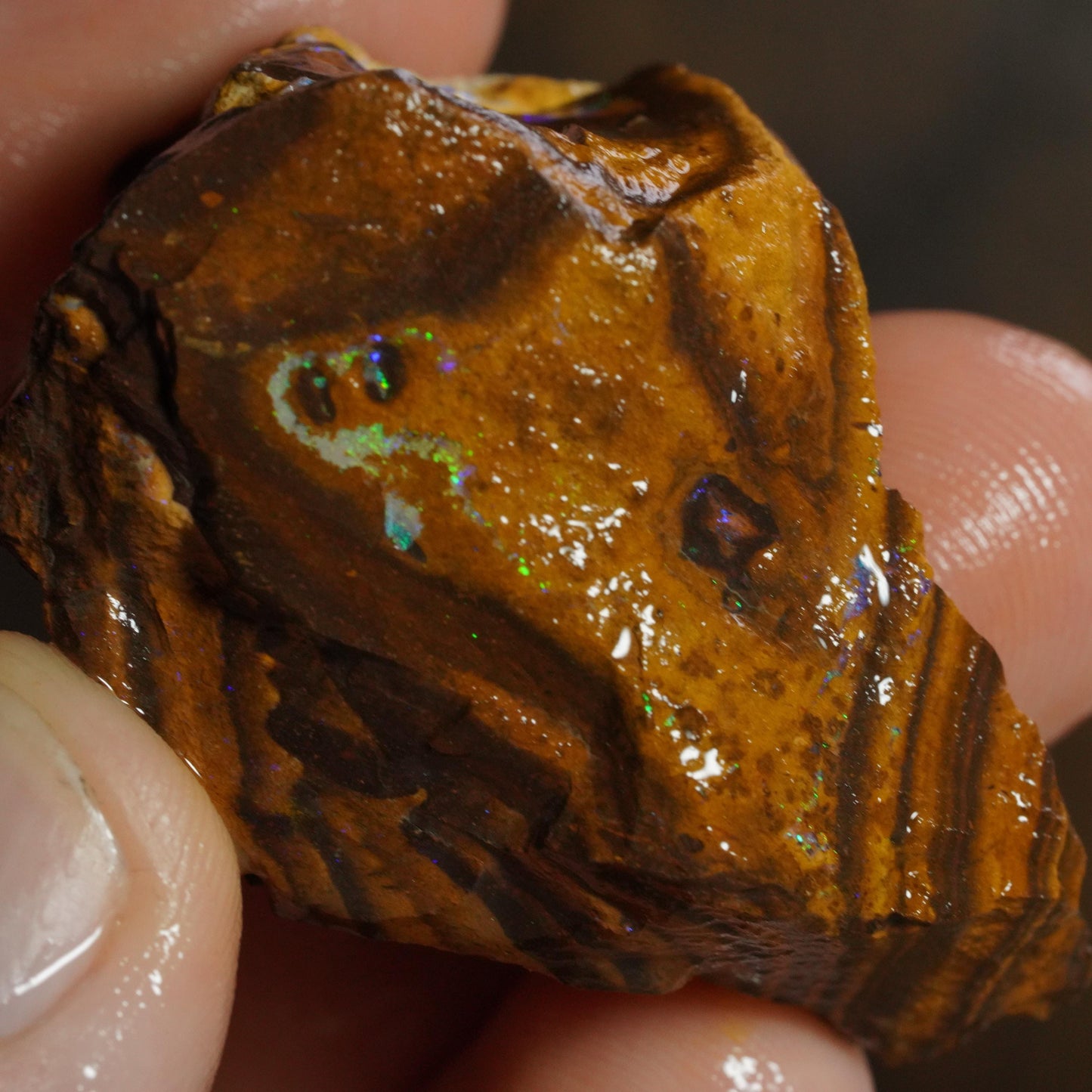 Boulder Opal