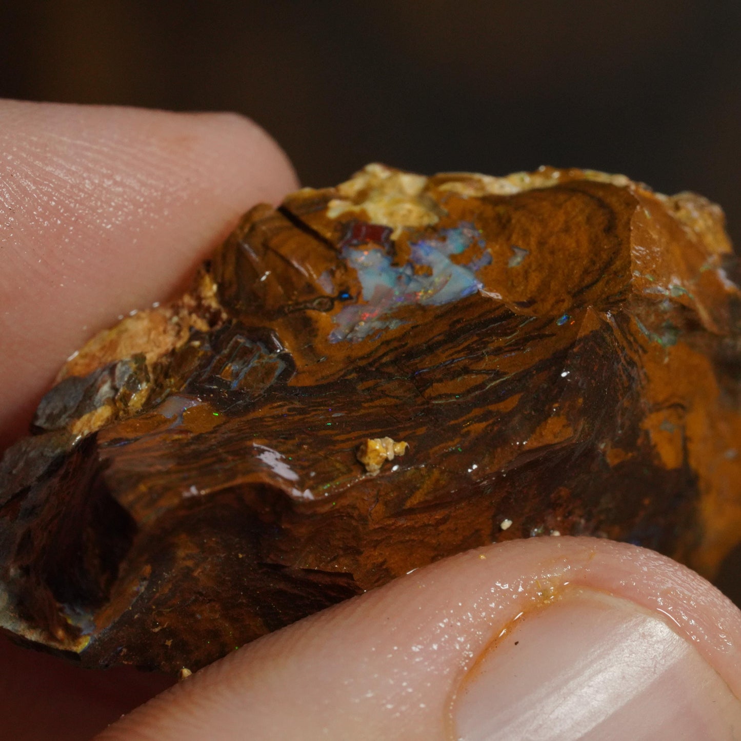 Boulder Opal