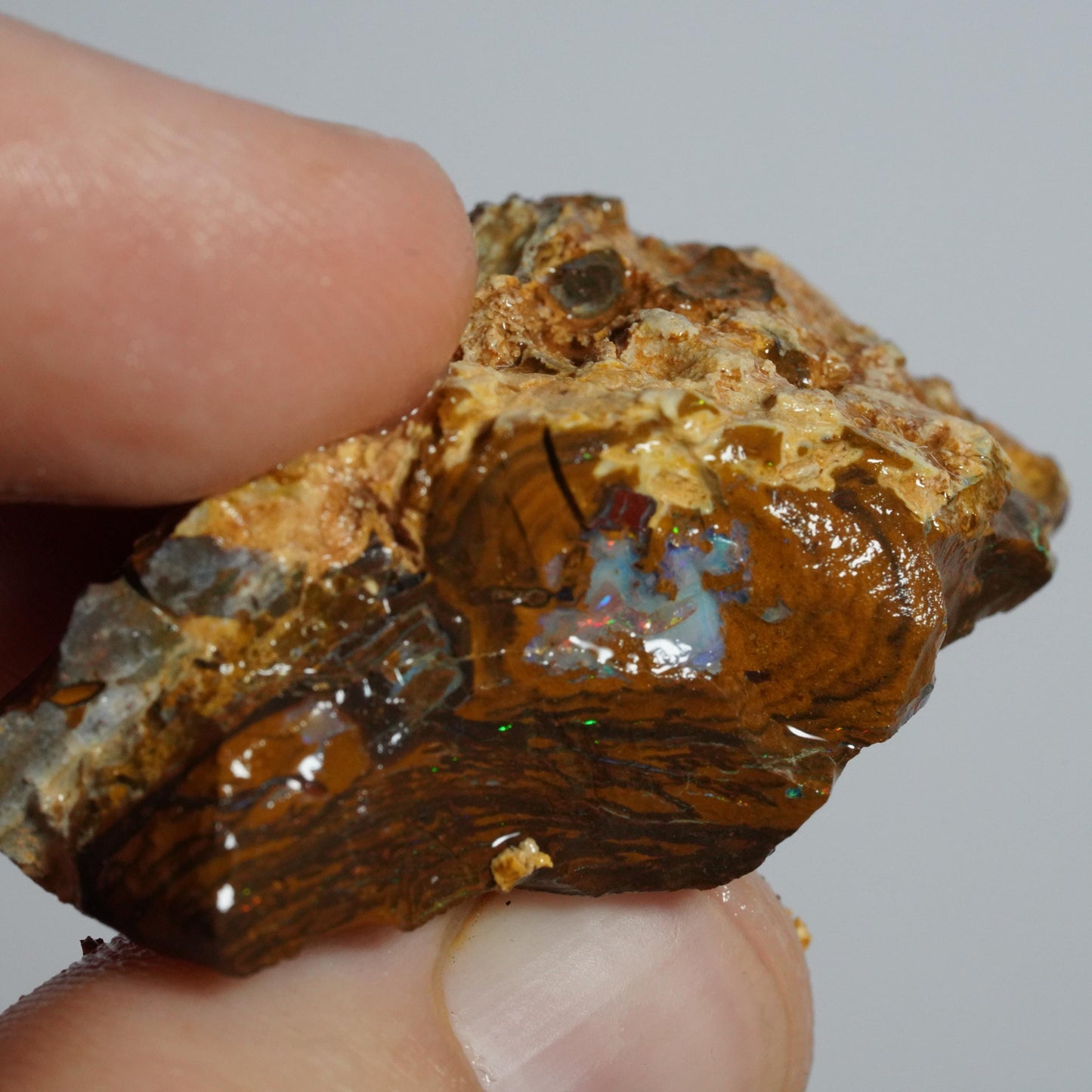 Boulder Opal