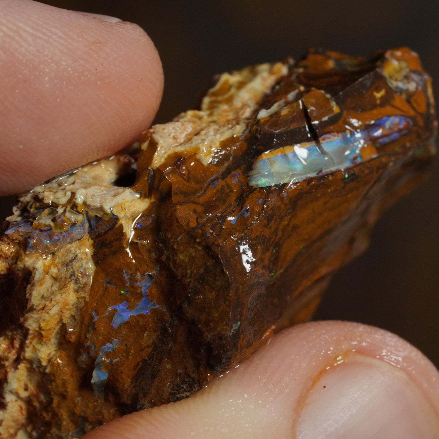 Boulder Opal