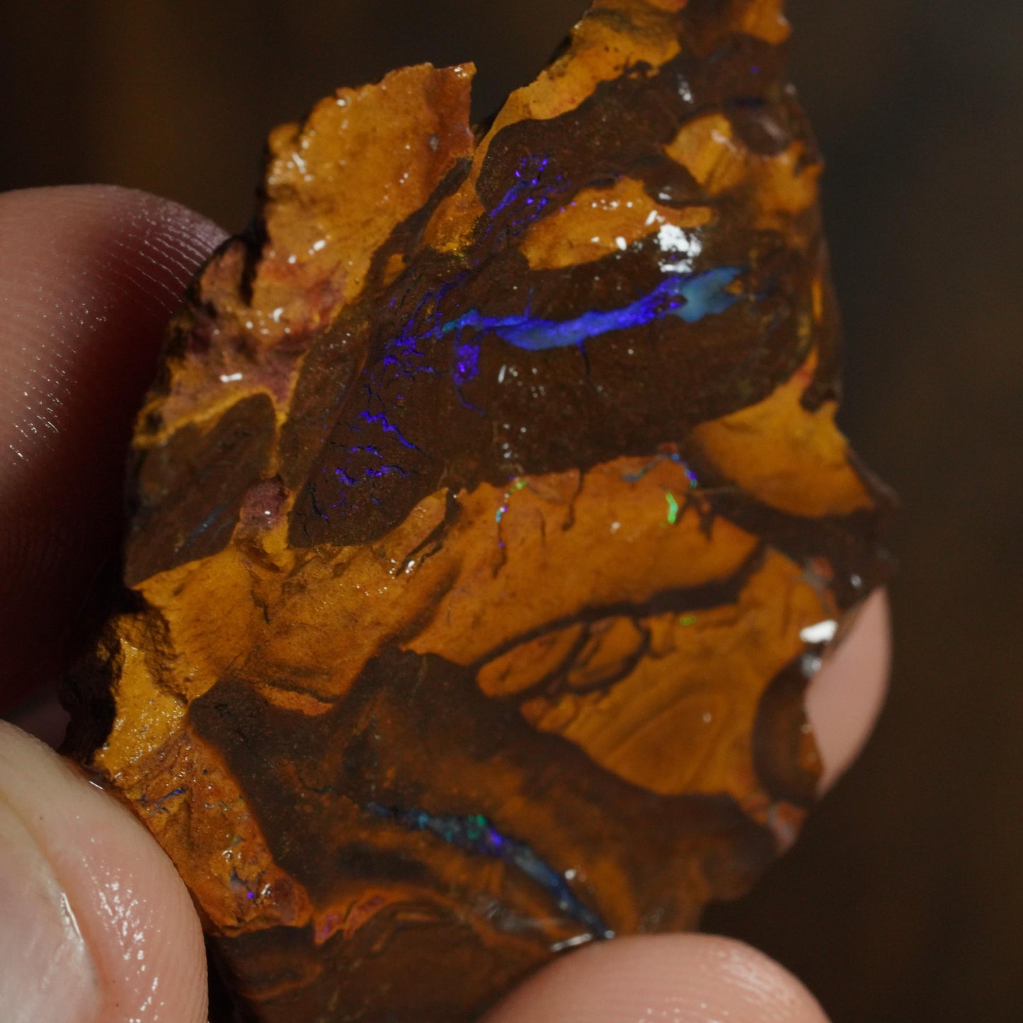 Boulder Opal
