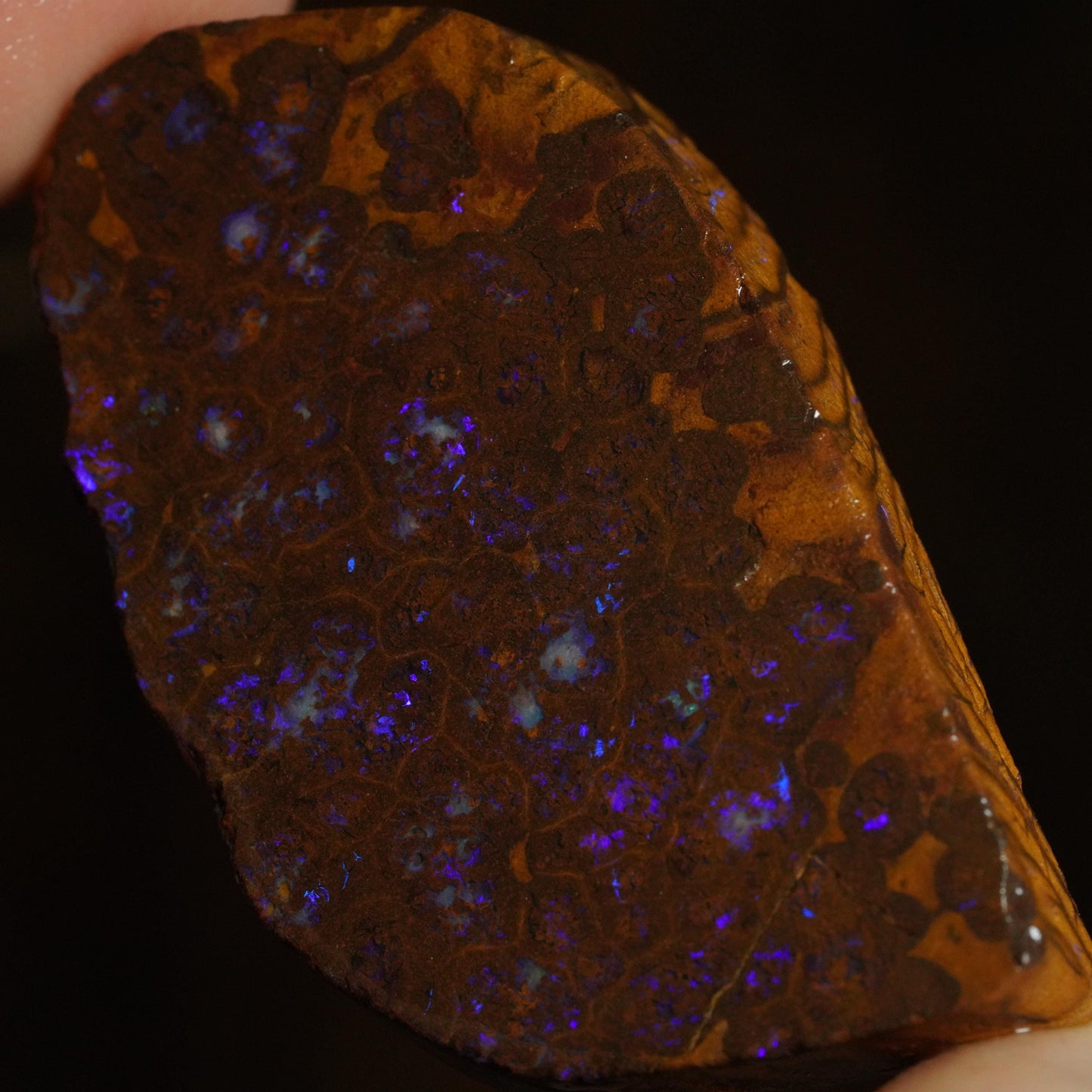 Boulder Opal Slab