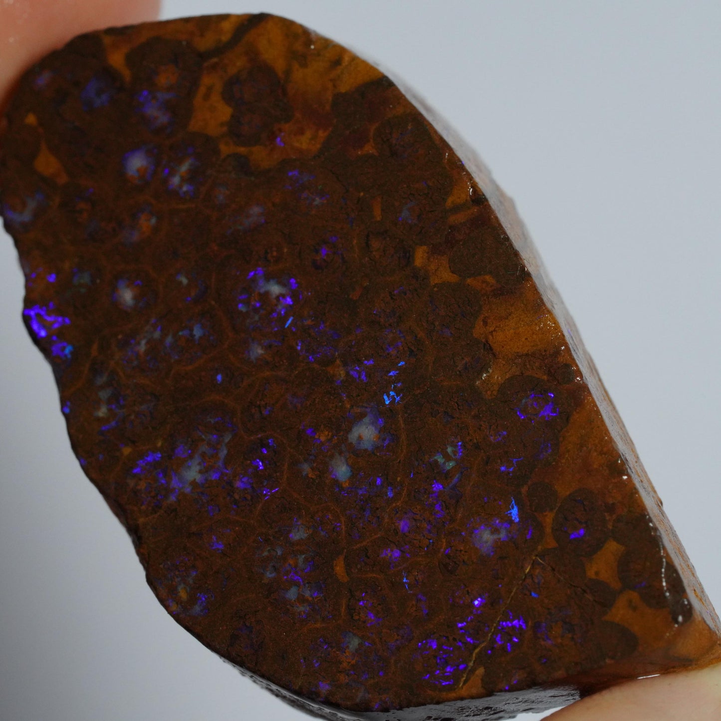 Boulder Opal Slab