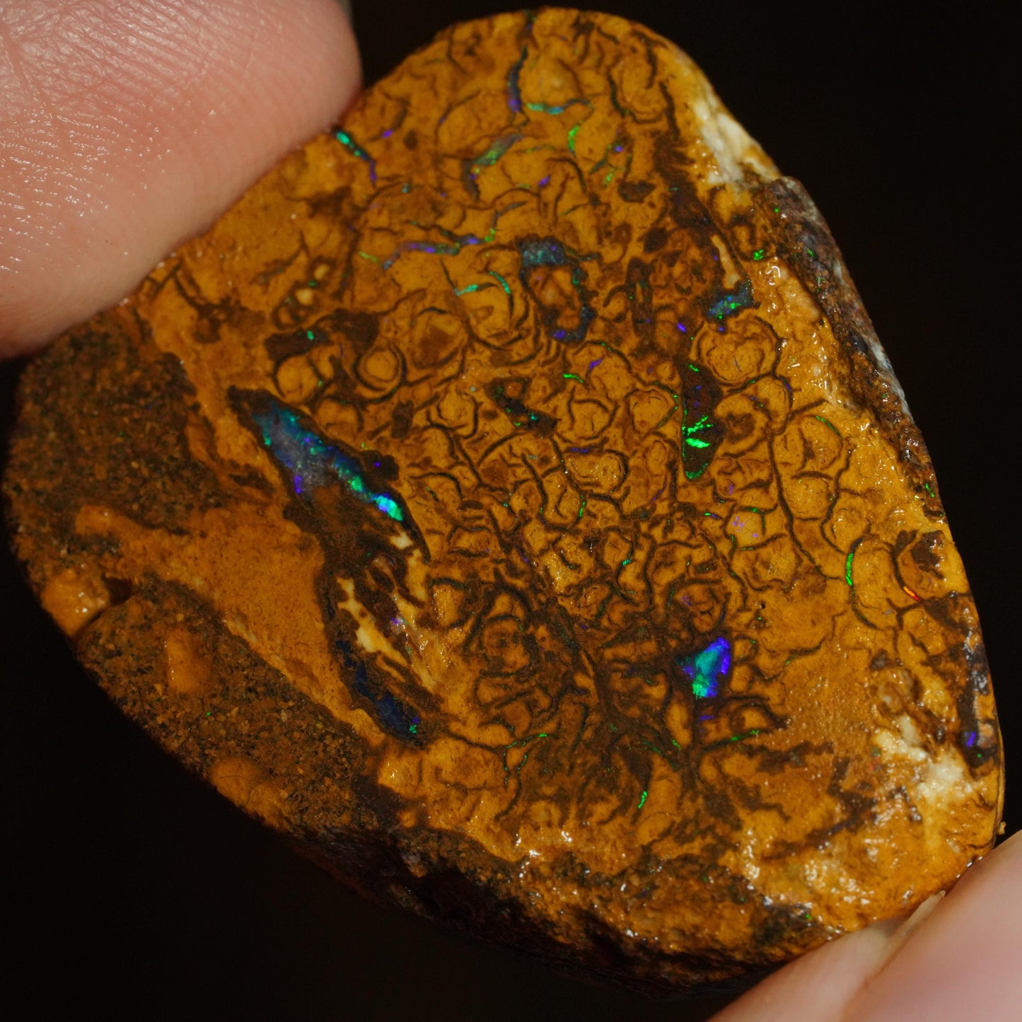 Boulder Opal Slab
