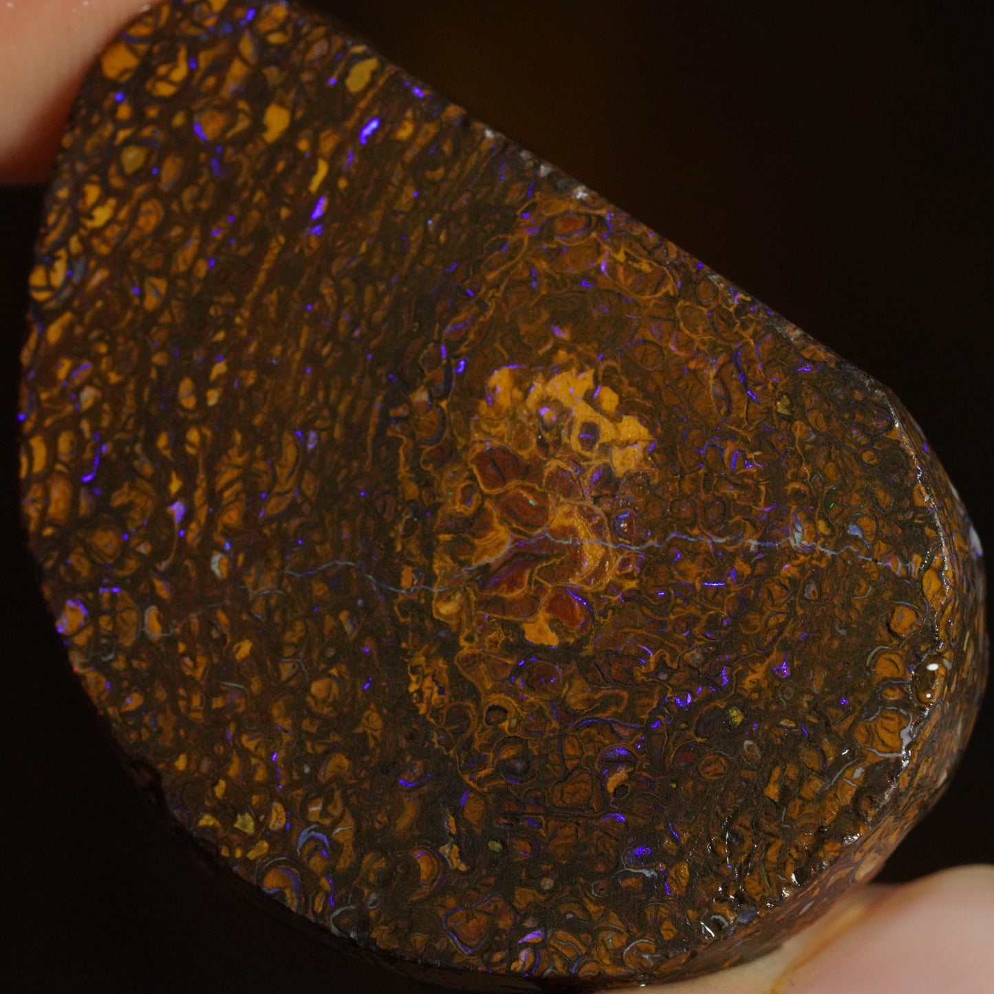 Boulder Opal Slab