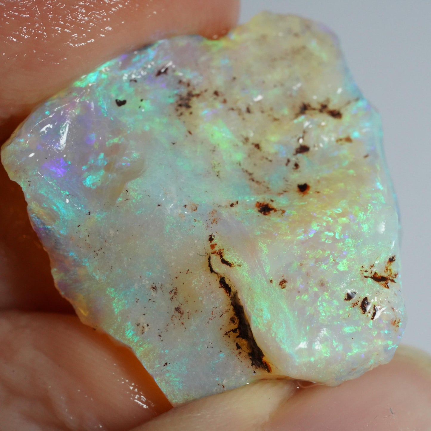 Australian Rough Opal