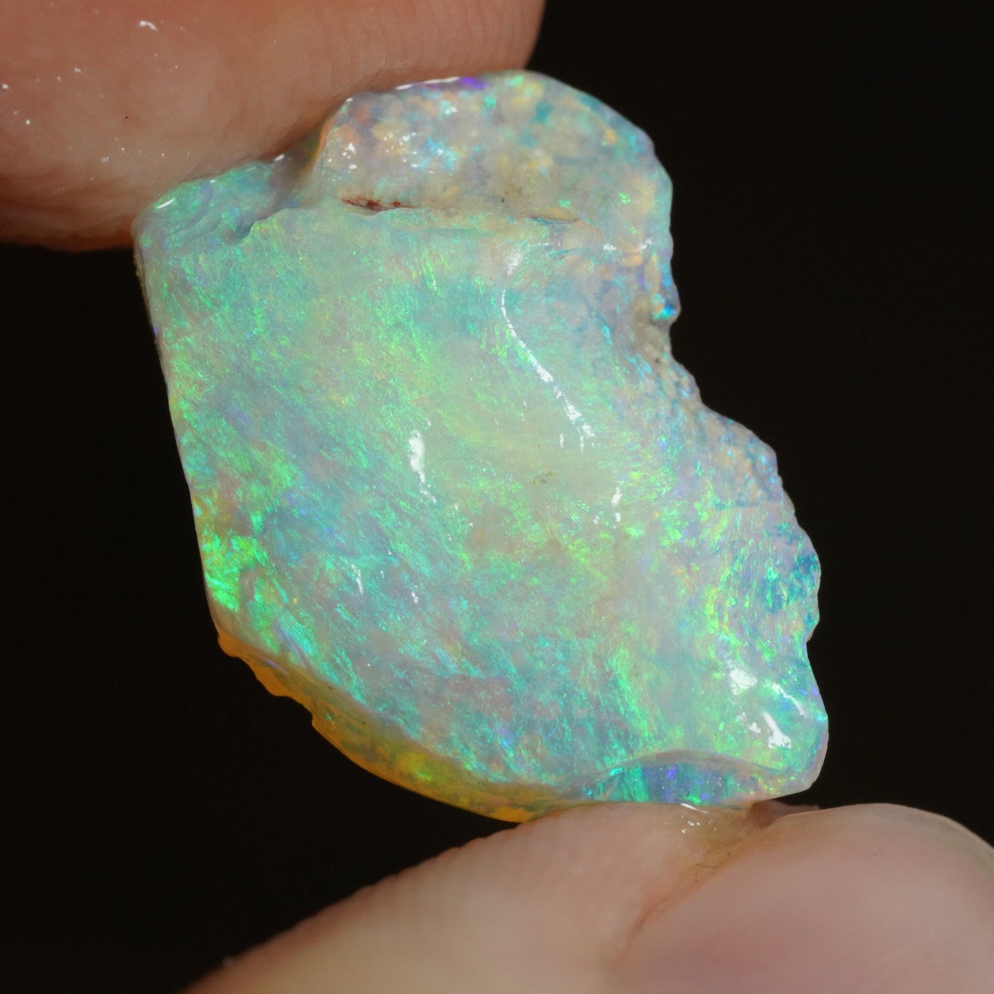 Australian Rough Opal