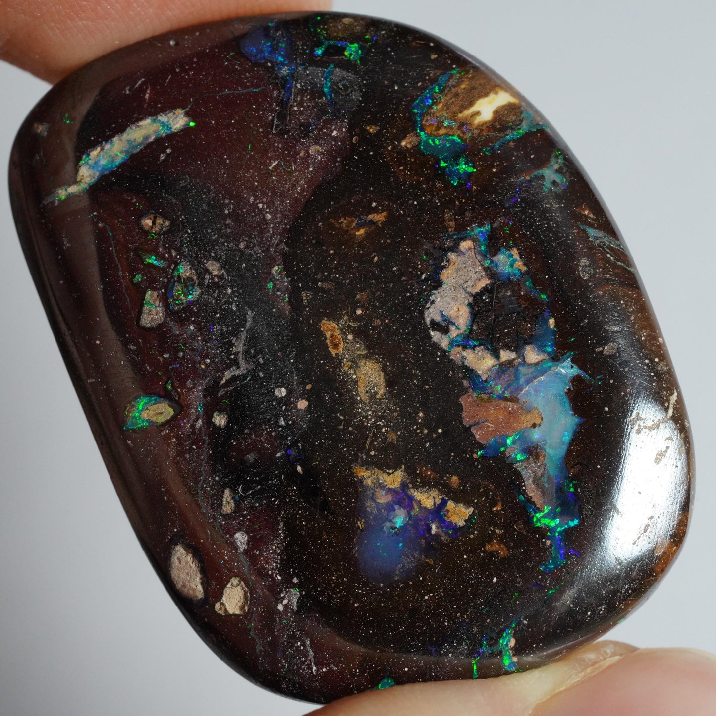 Boulder Opal Cut Stone