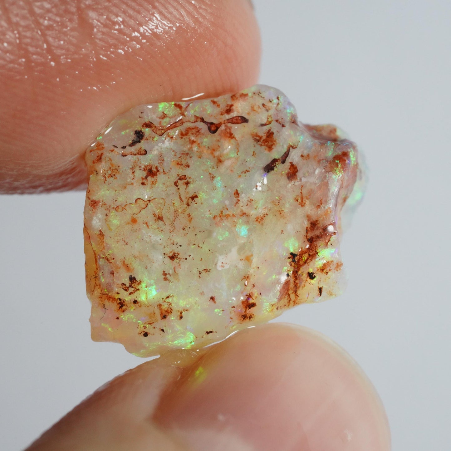 Australian Rough Opal