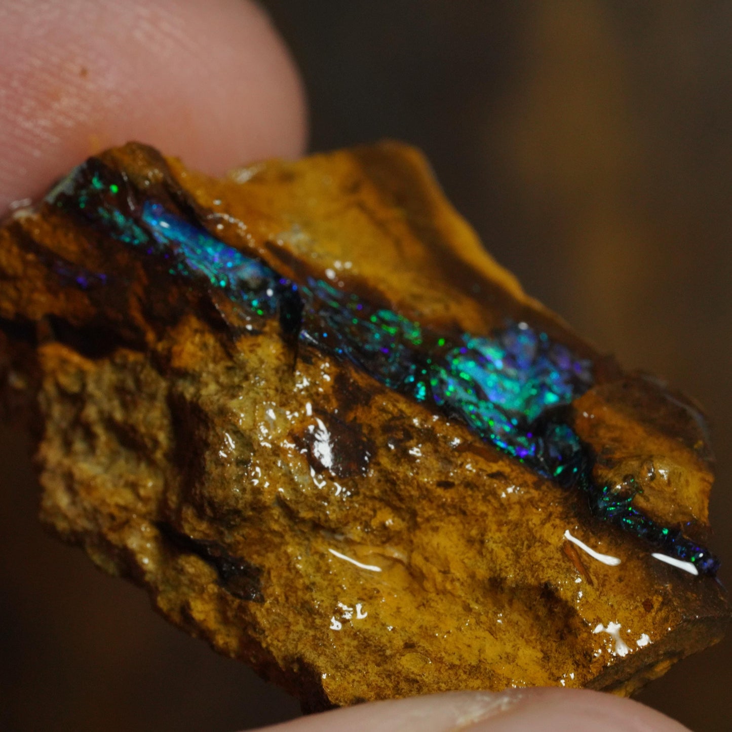 Boulder Opal