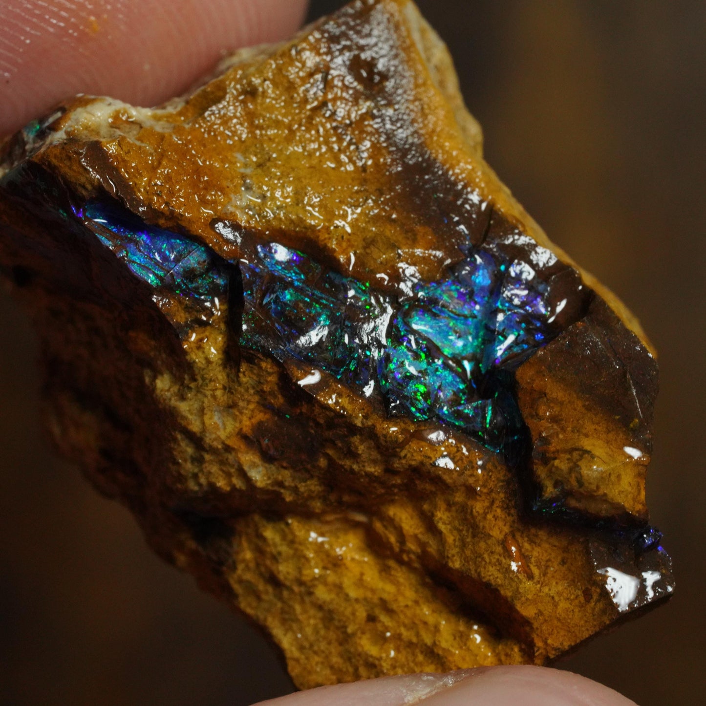 Boulder Opal