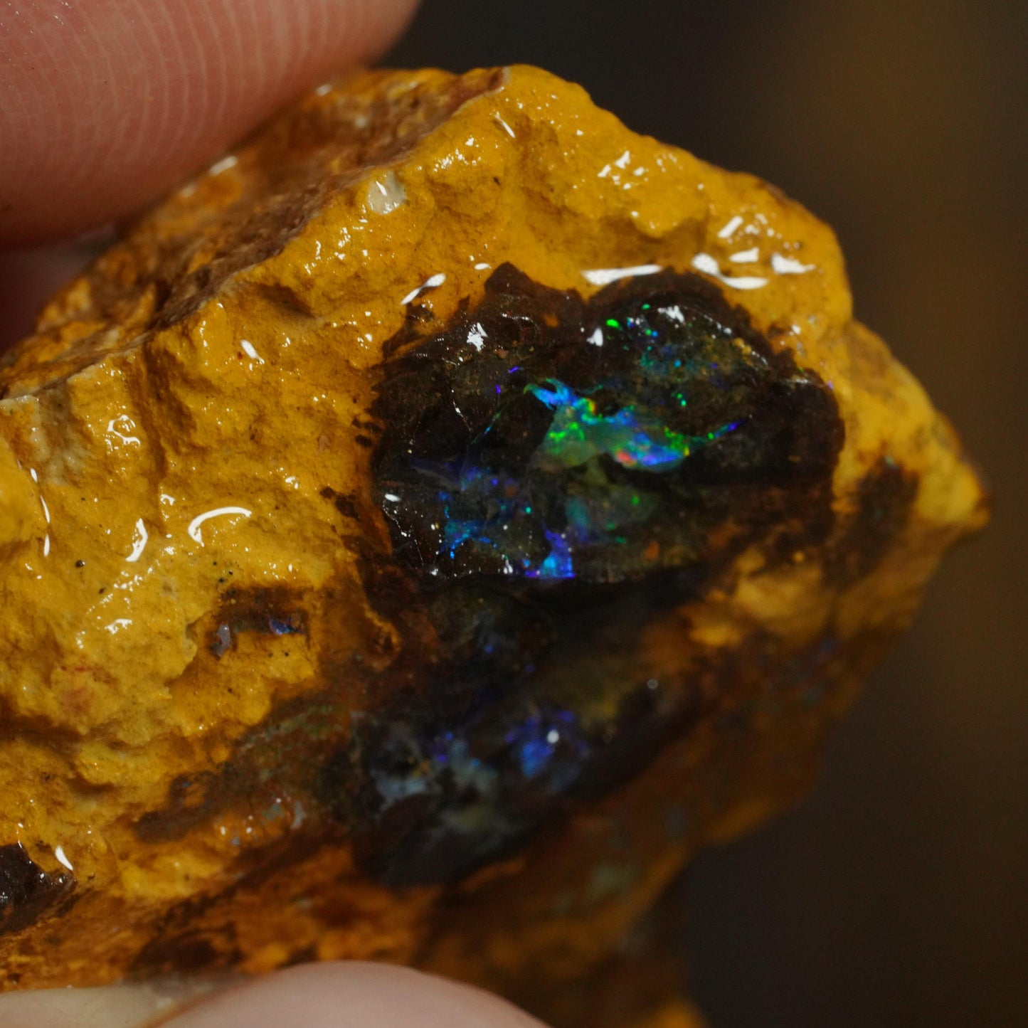 Boulder Opal