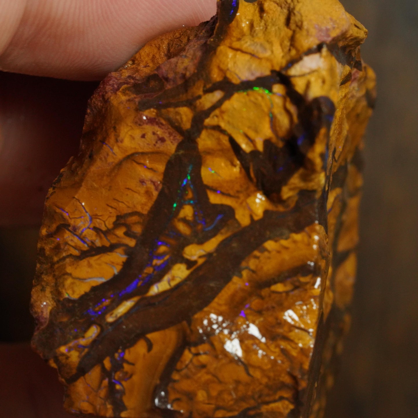 Boulder Opal