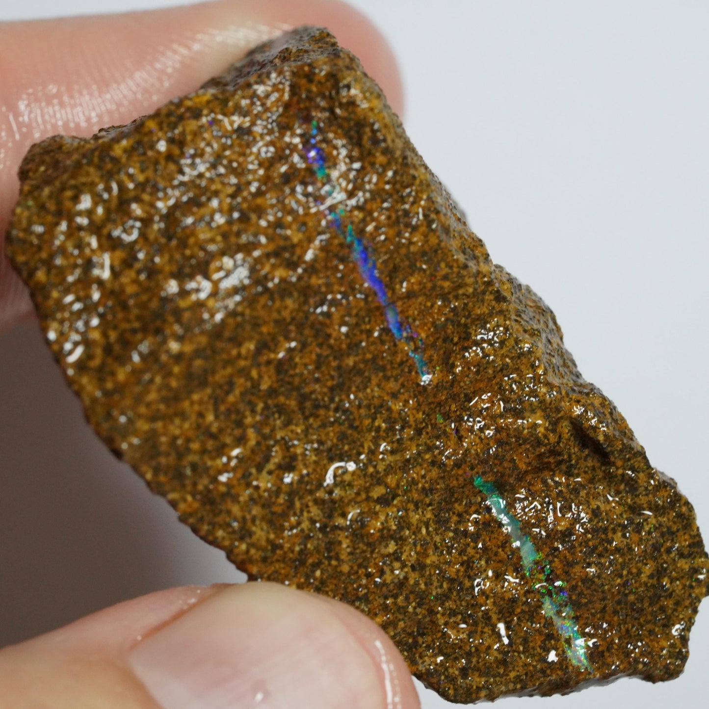 Boulder Opal