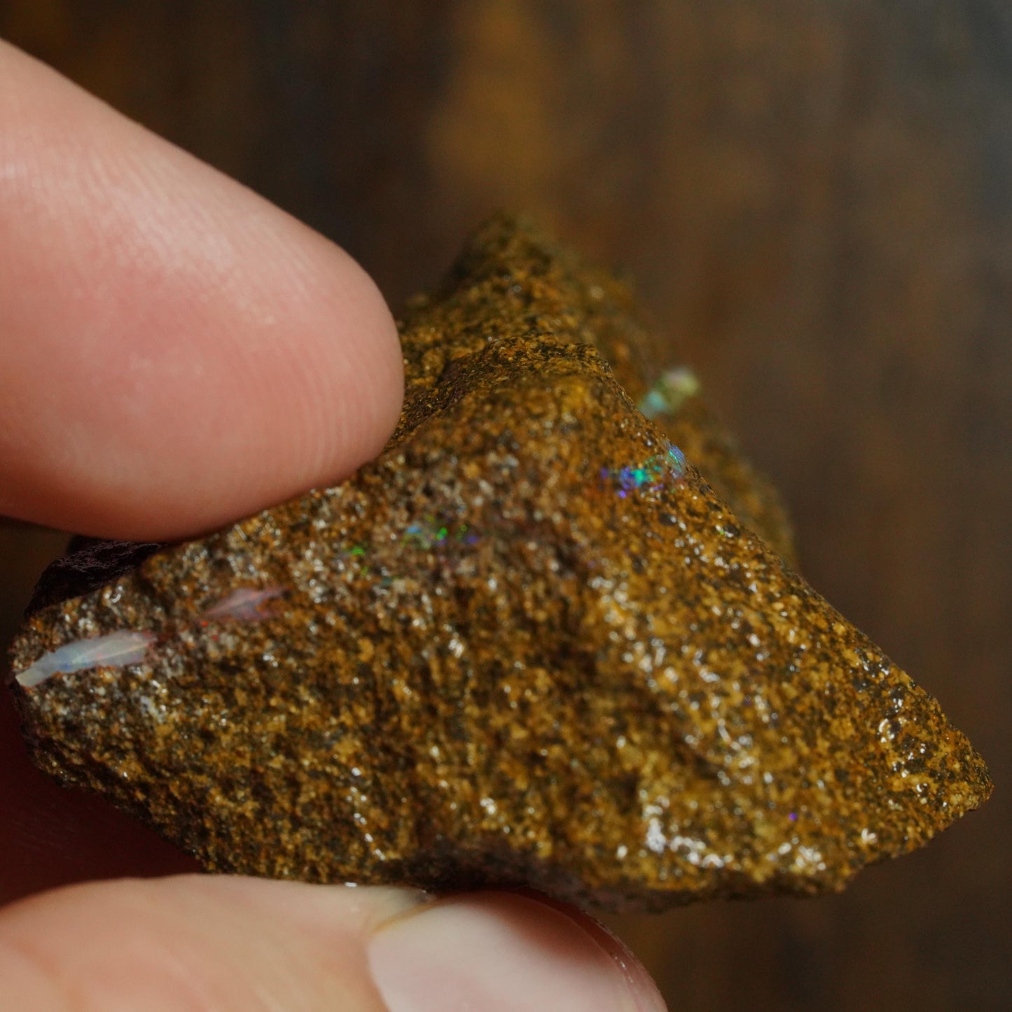 Boulder Opal