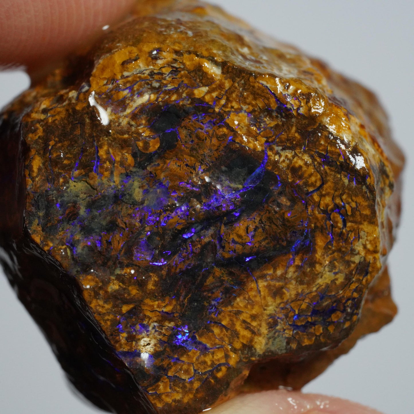 Boulder Opal