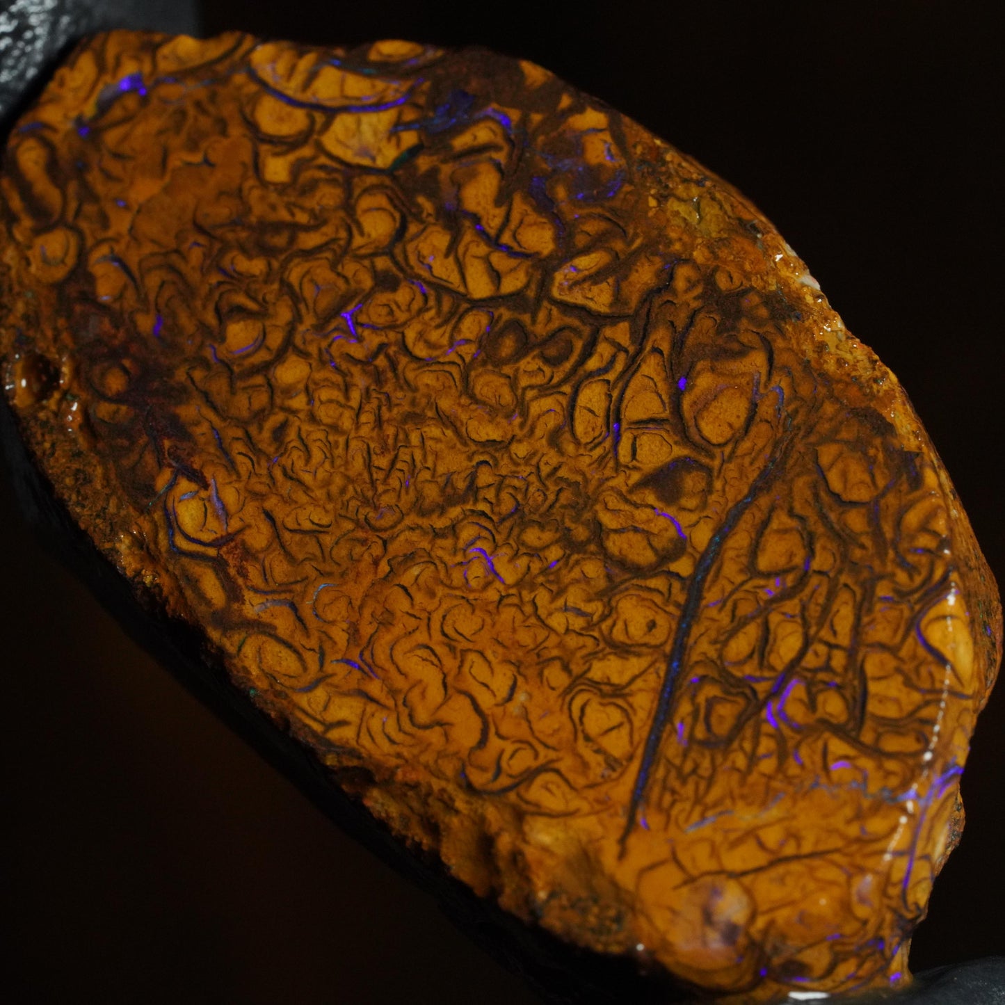 Boulder Opal Slab