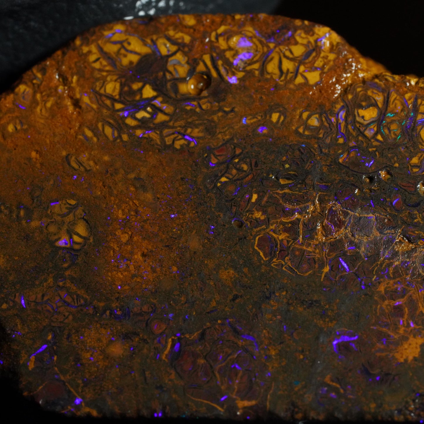 Boulder Opal Slab