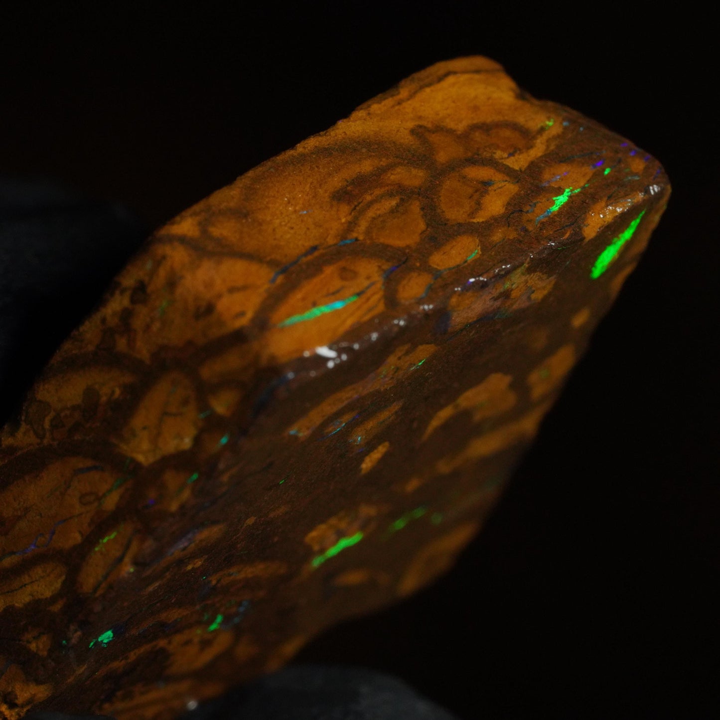 Boulder Opal Slab