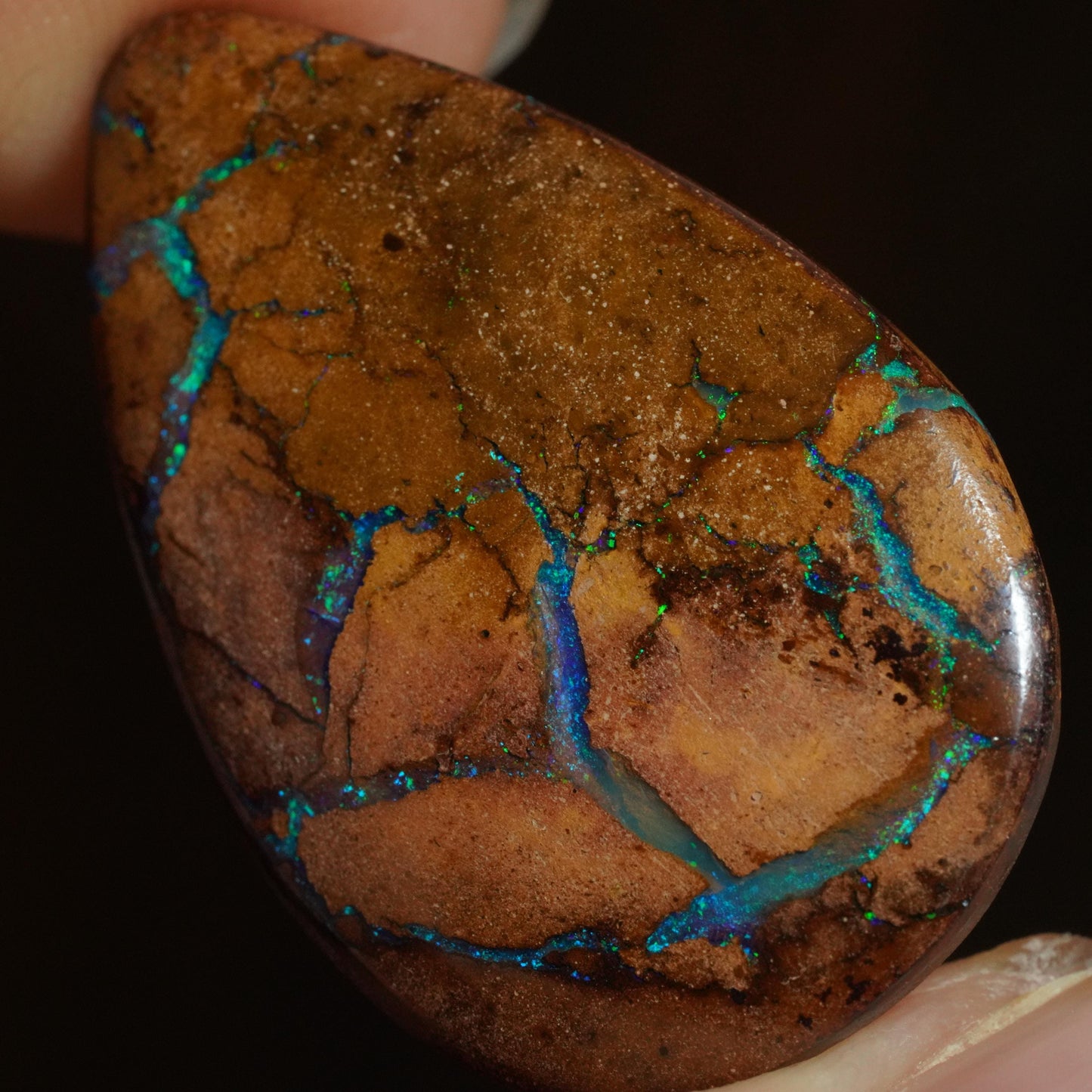 Boulder Opal Cut Stone