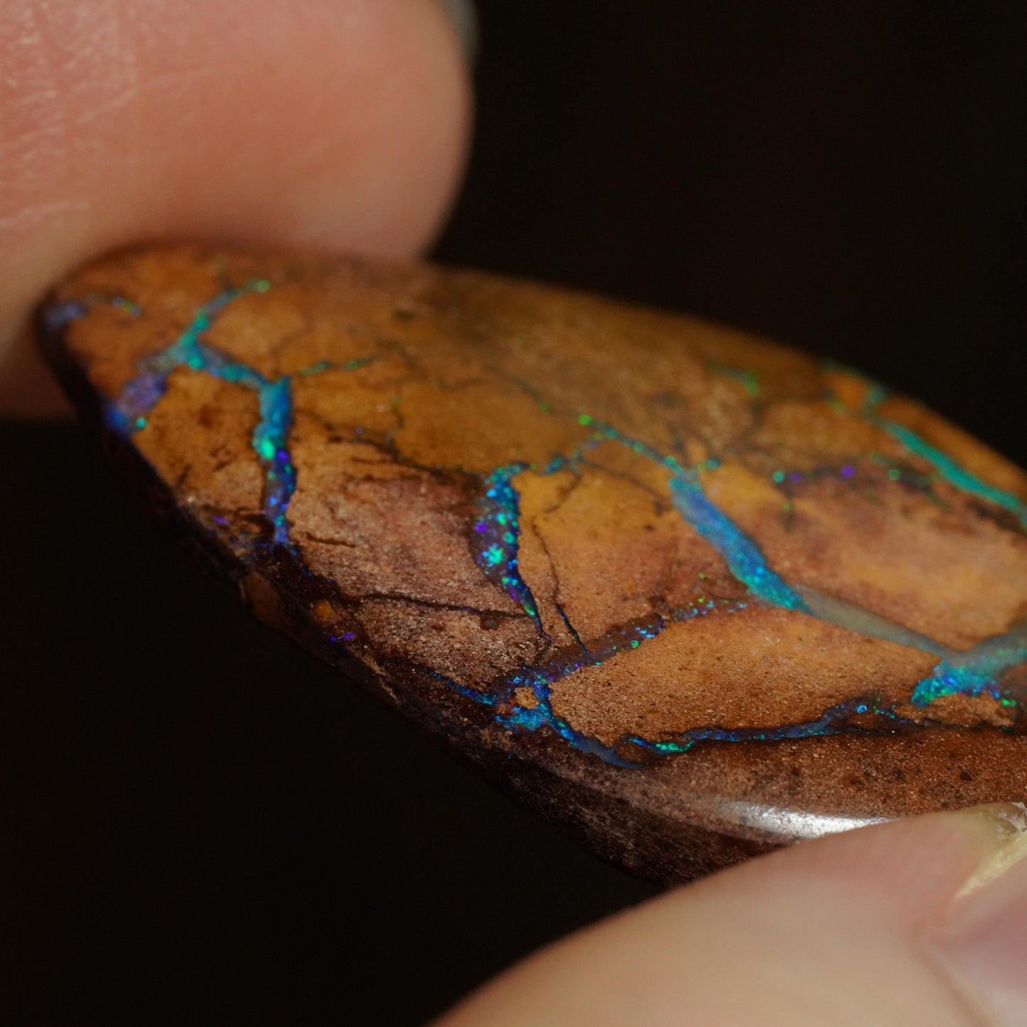 Boulder Opal Cut Stone