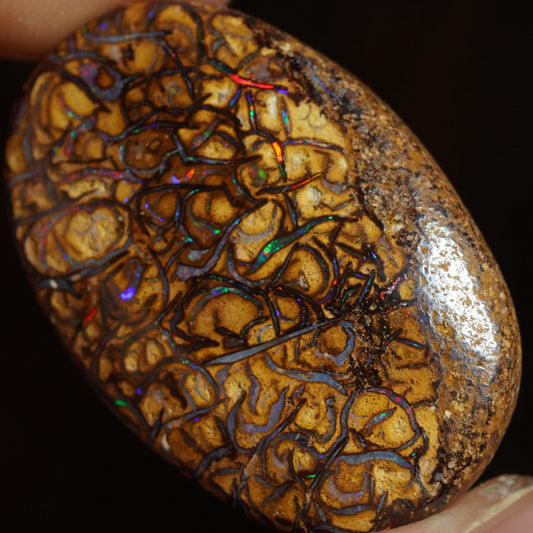Boulder Opal Cut Stone