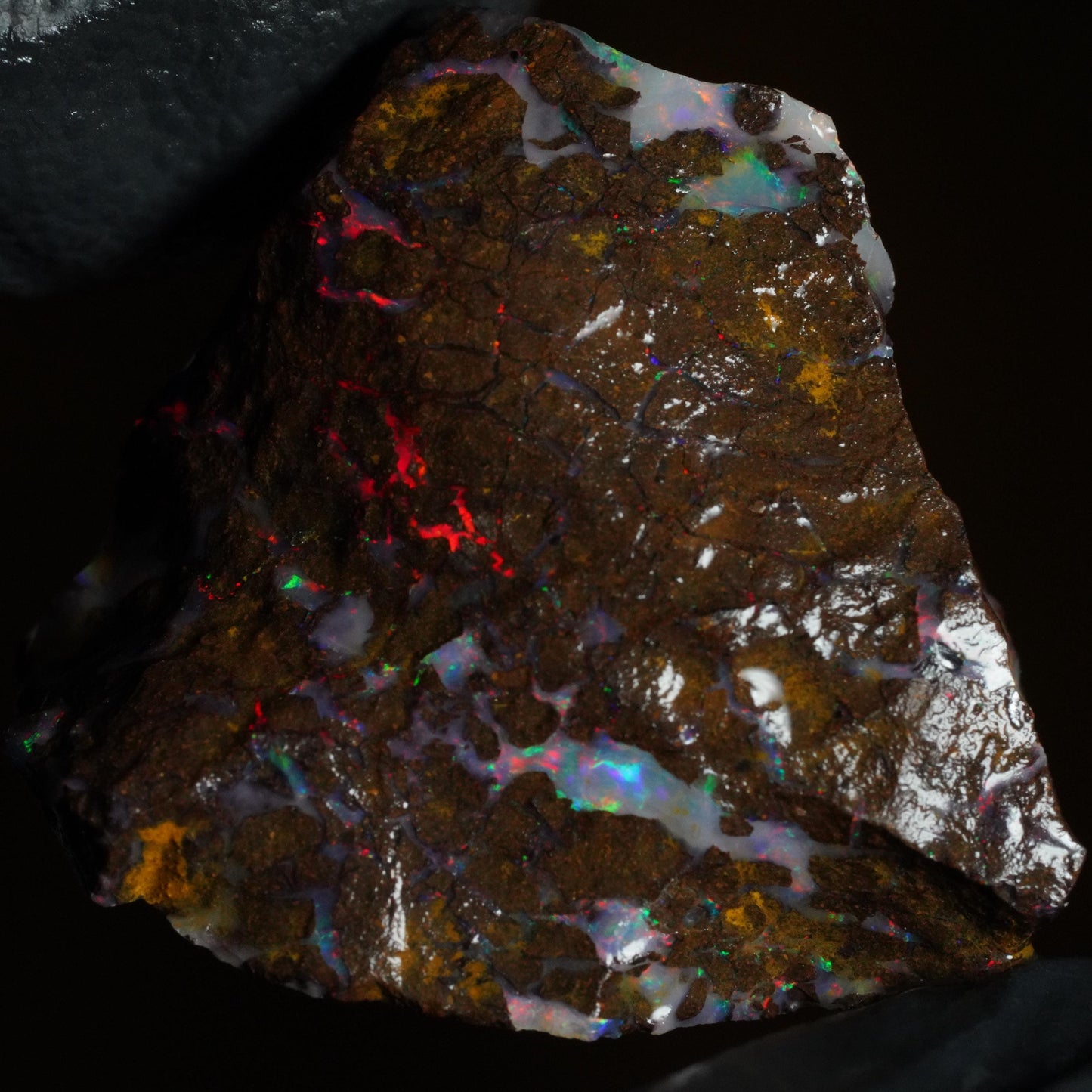Boulder Opal