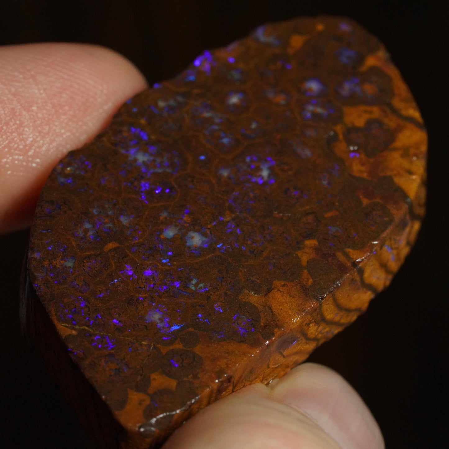 Boulder Opal Slab