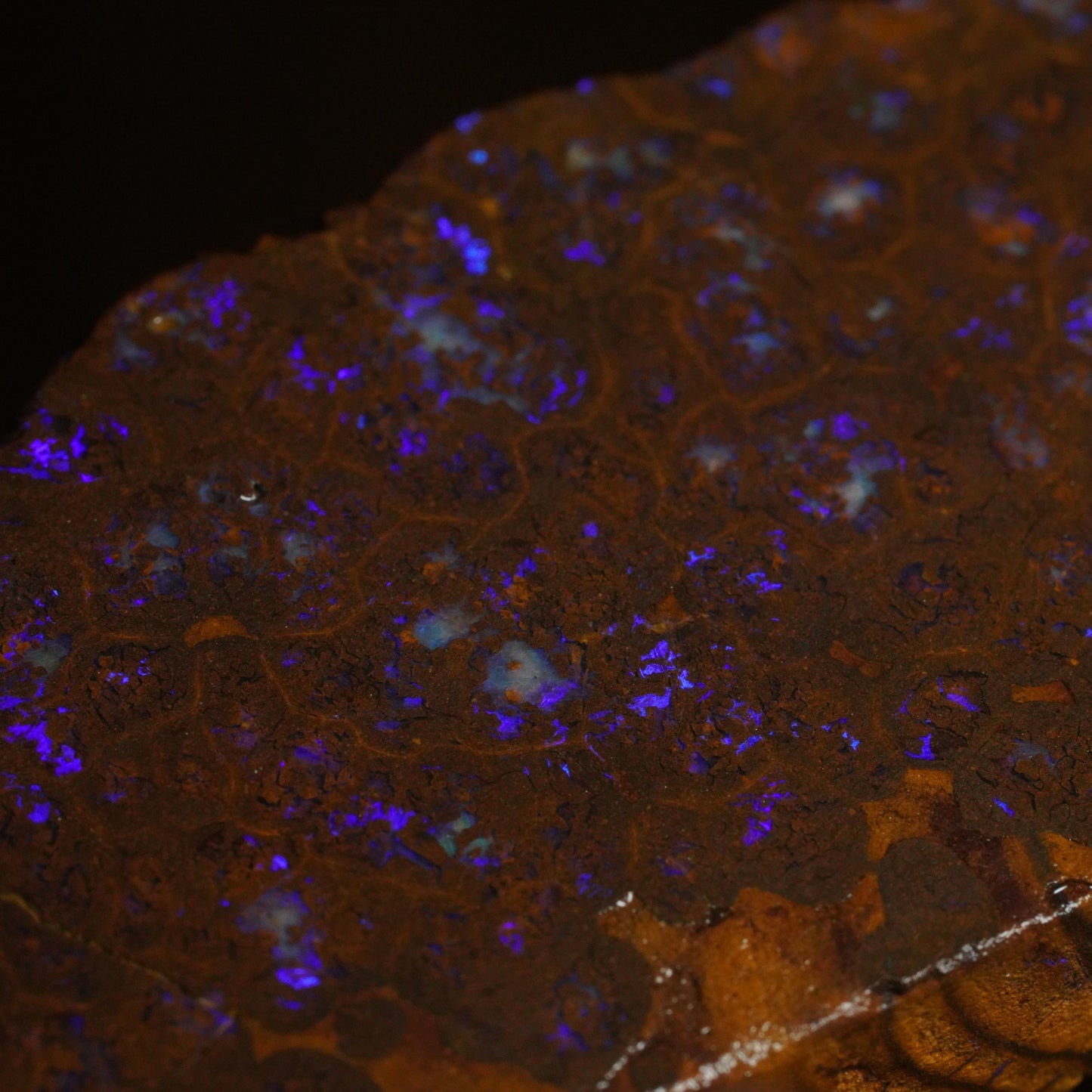 Boulder Opal Slab