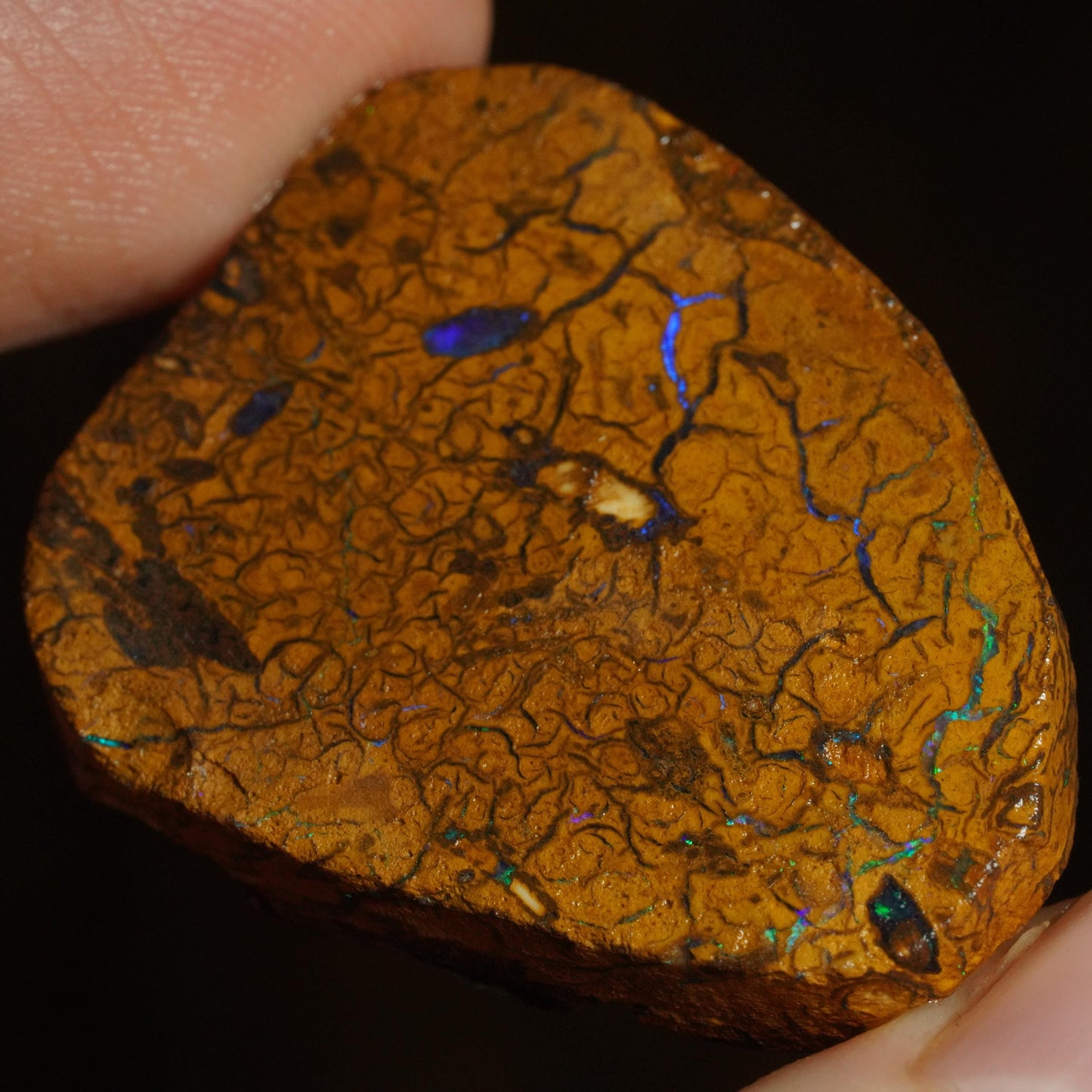 Boulder Opal Slab