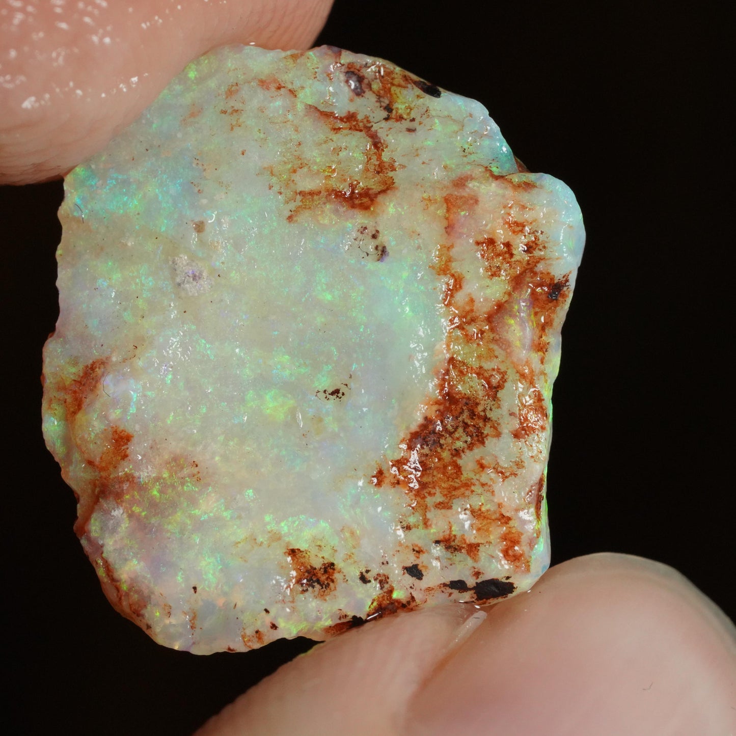Australian Rough Opal