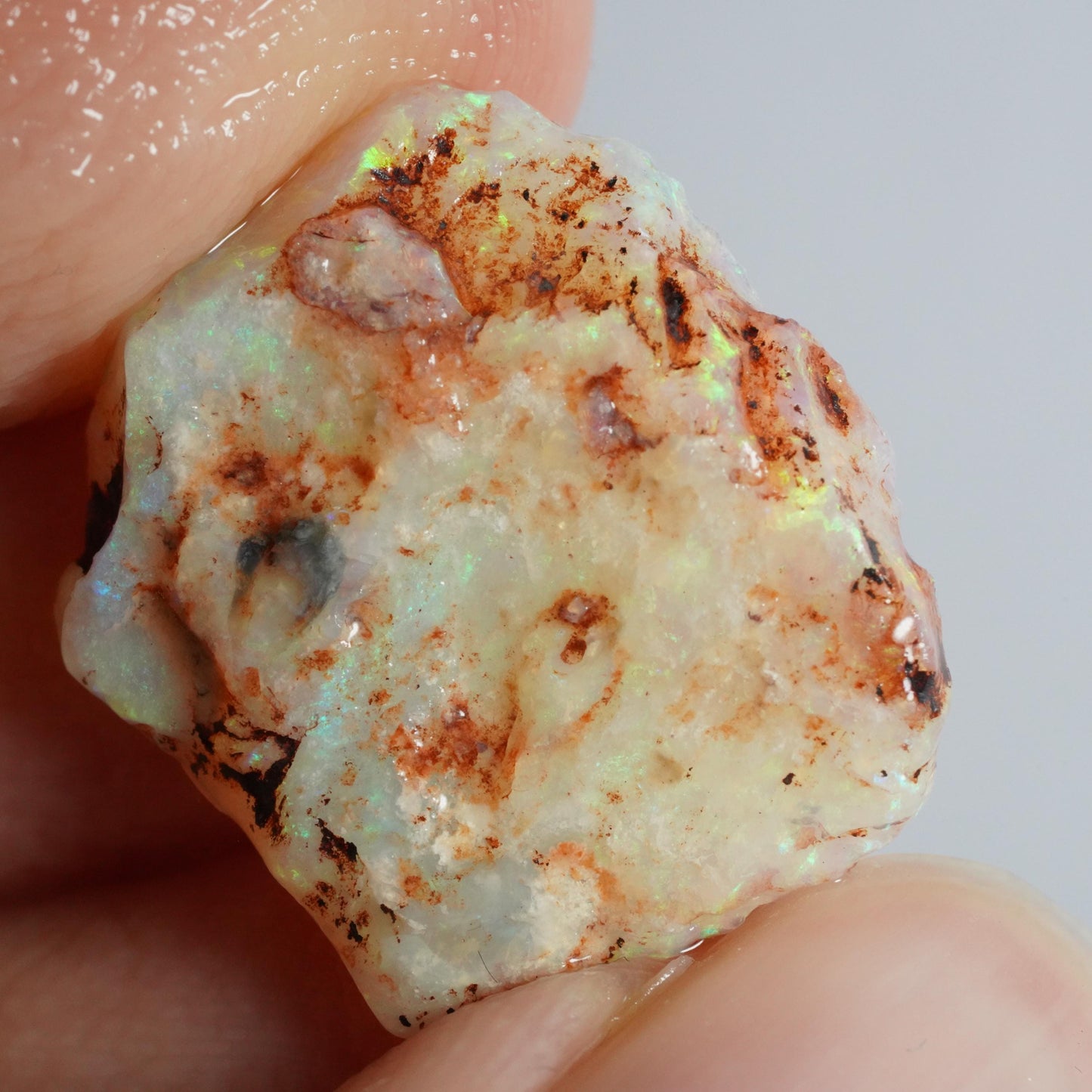 Australian Rough Opal