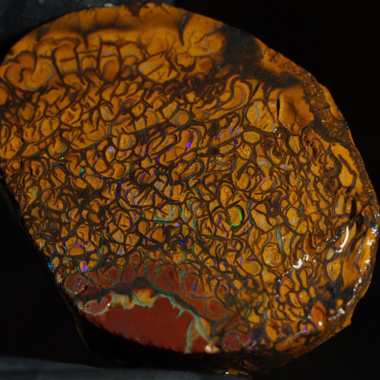 Boulder Opal Slab