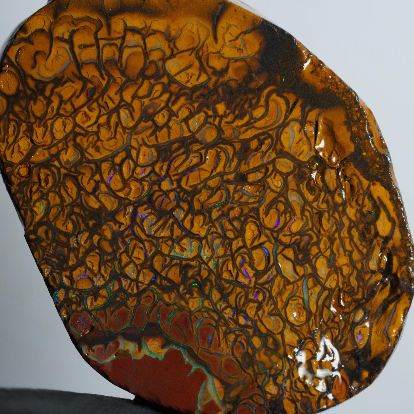 Boulder Opal Slab