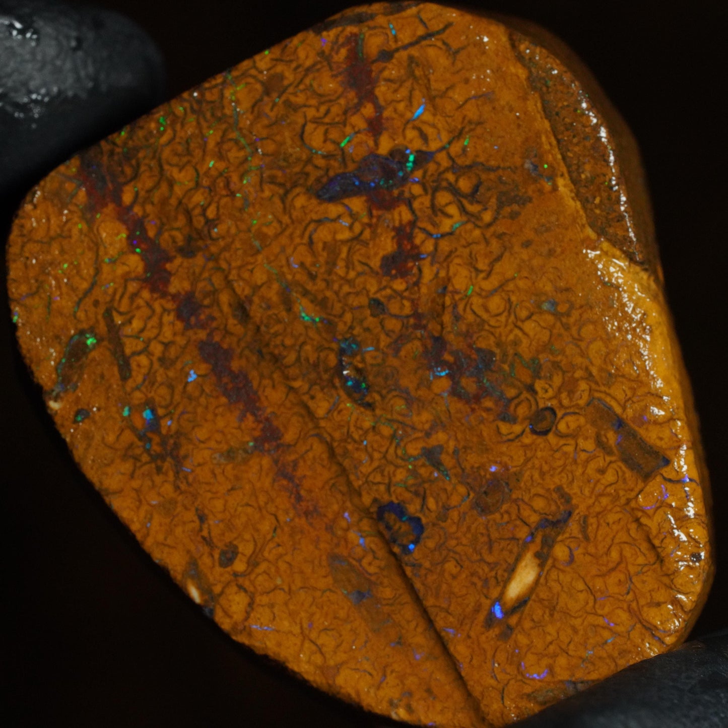 Boulder Opal Slab