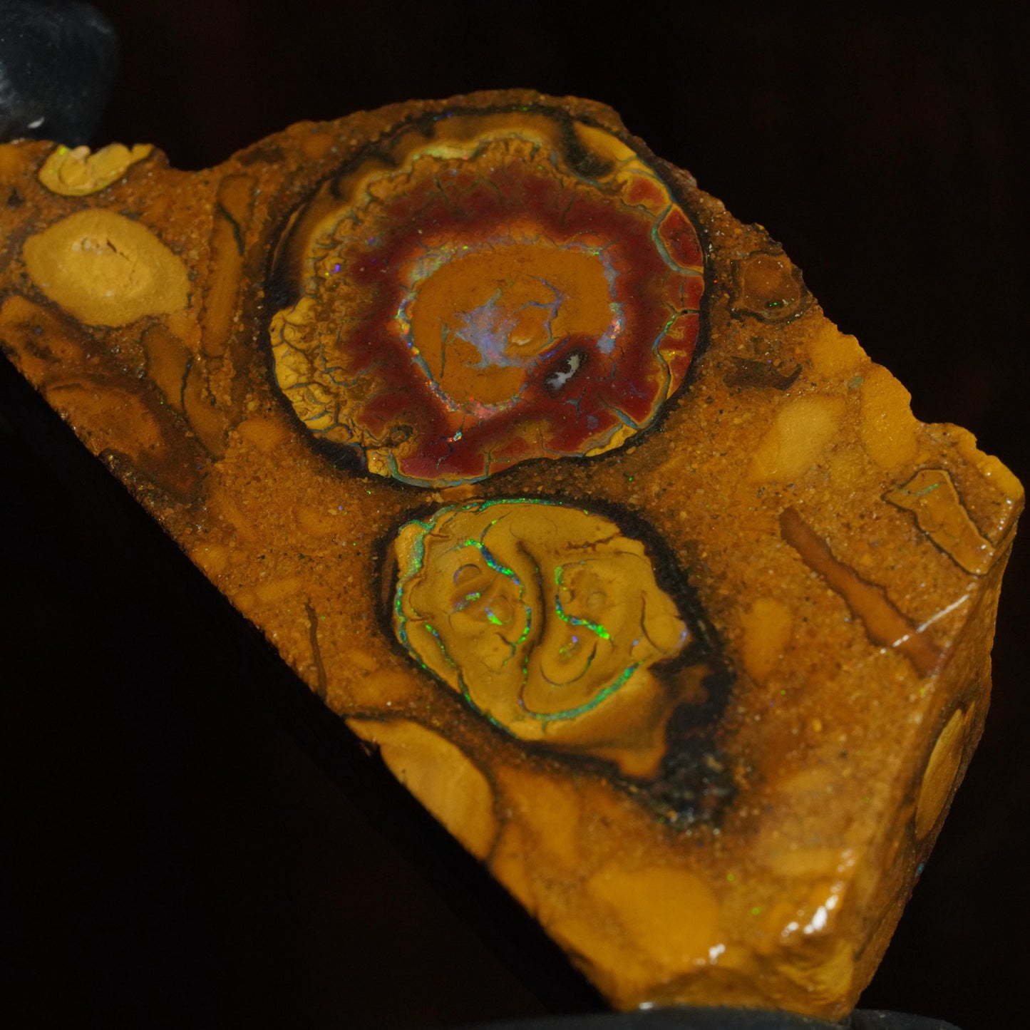 Boulder Opal Slab