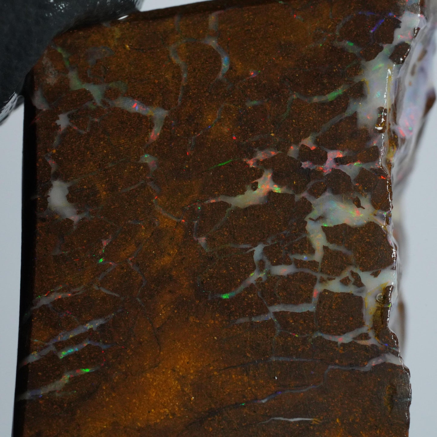 Boulder Opal Slab