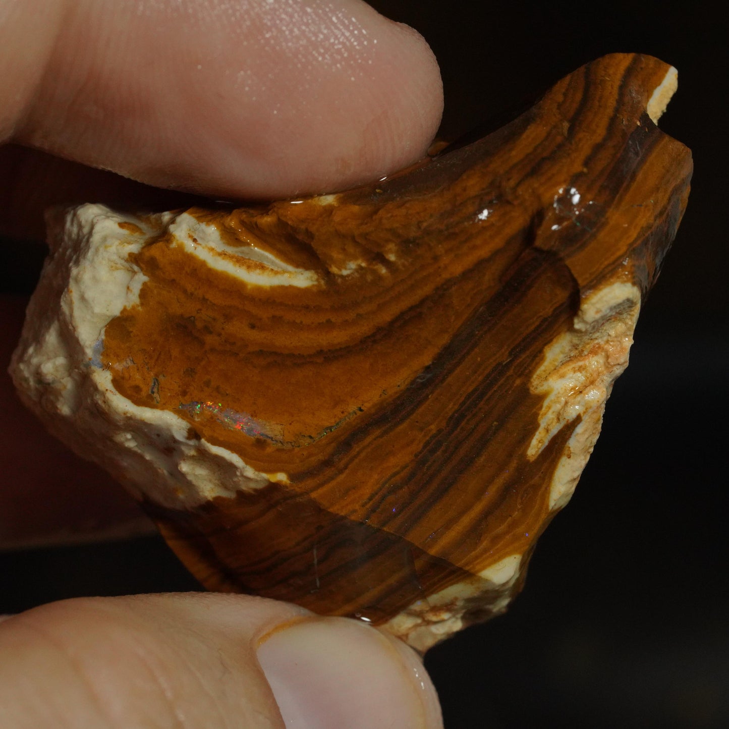 Boulder Opal