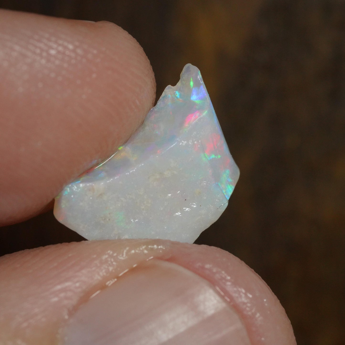 Australian Rough Opal