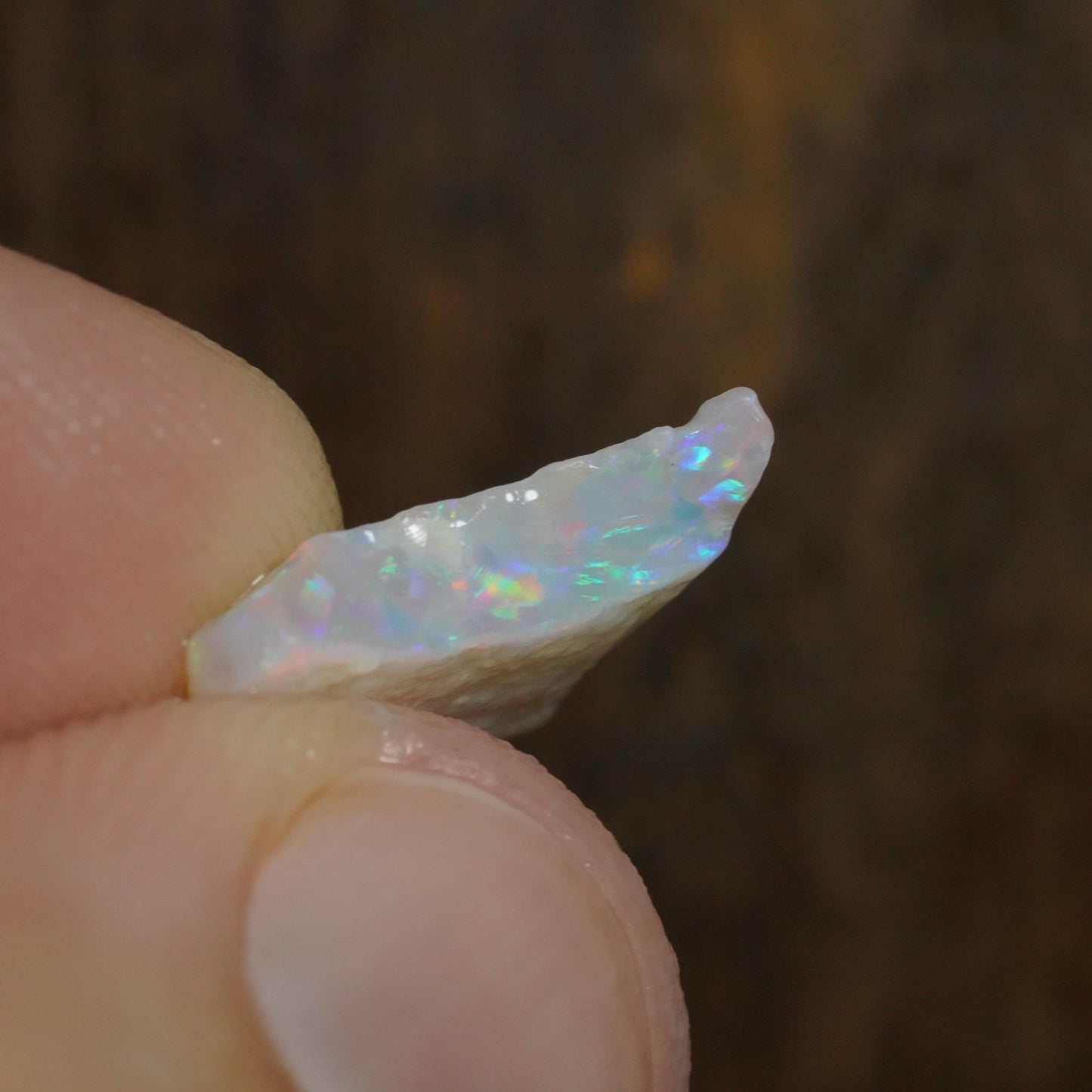 Australian Rough Opal