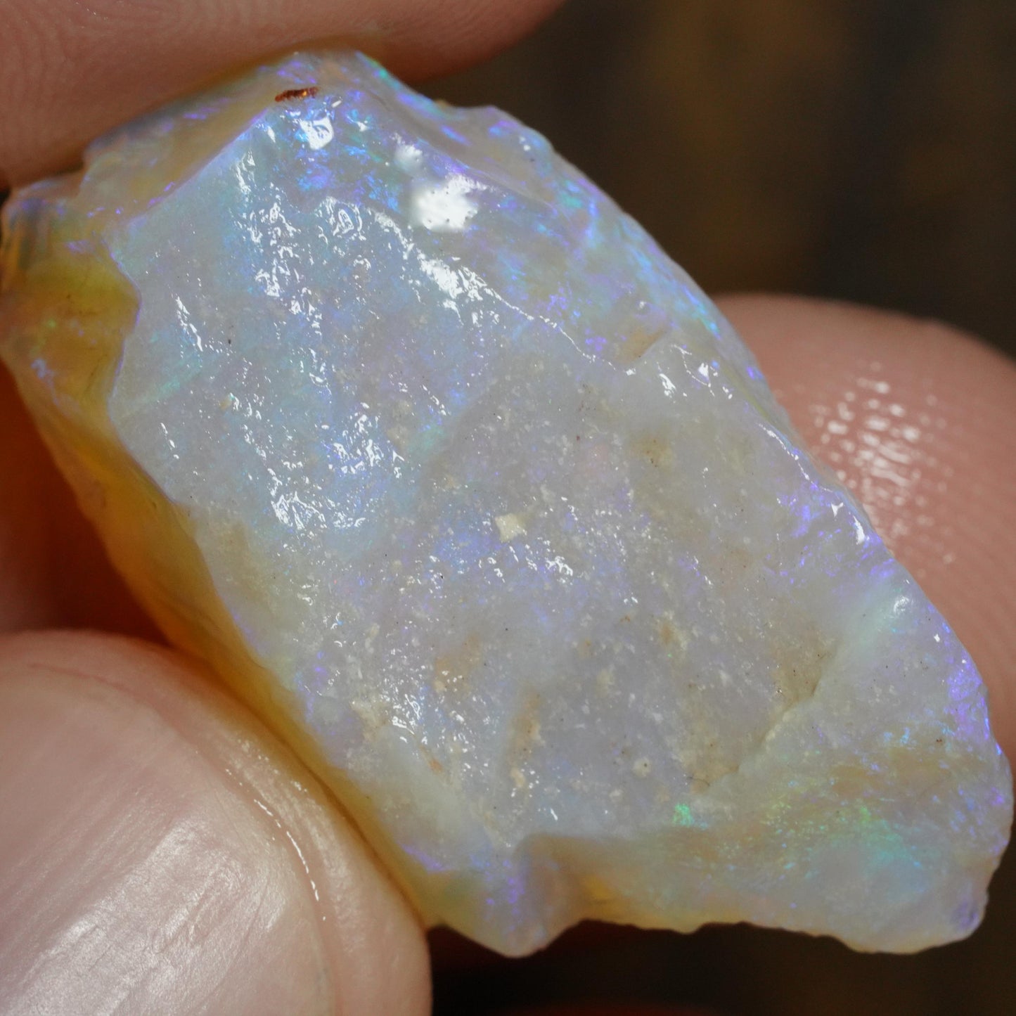 Australian Rough Opal