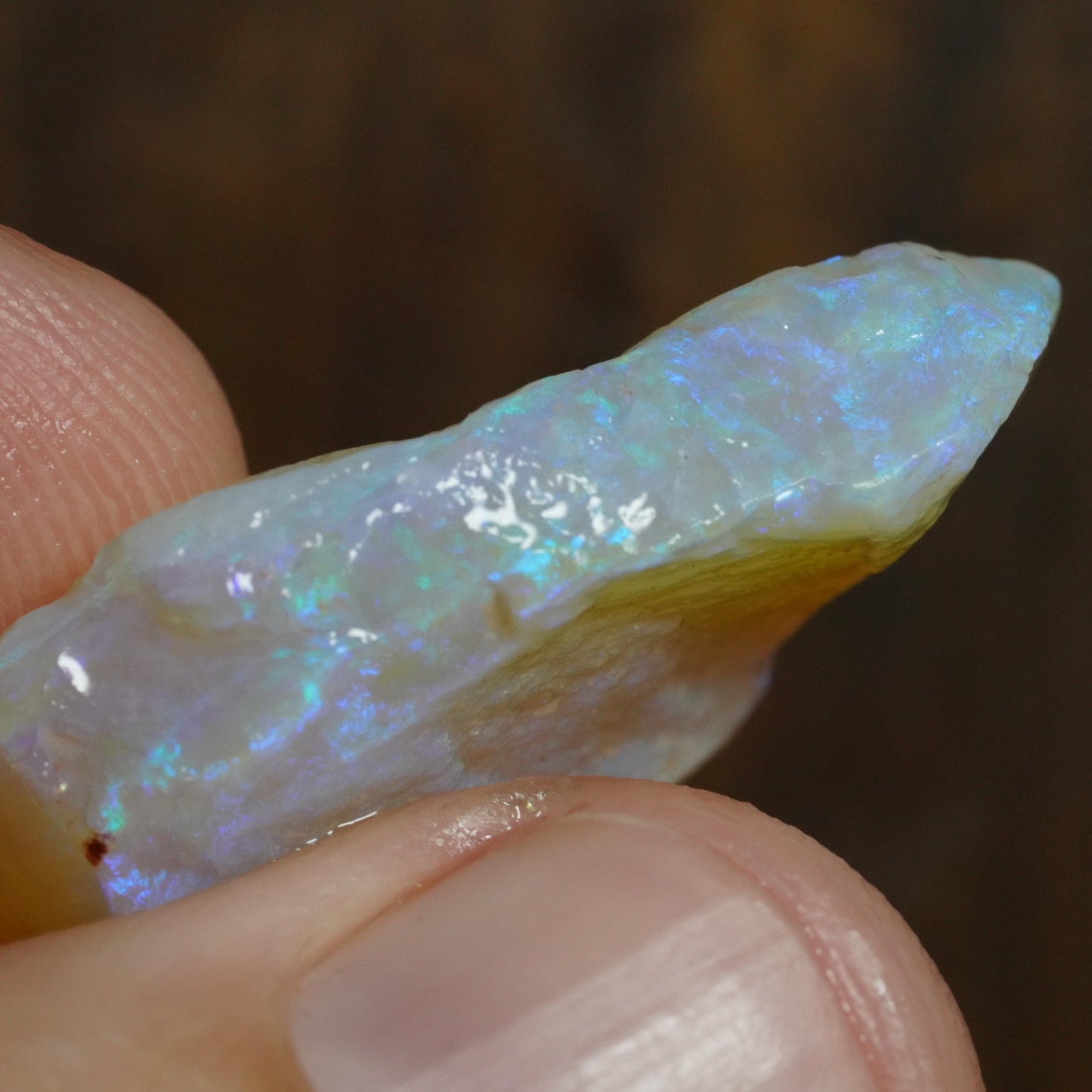 Australian Rough Opal