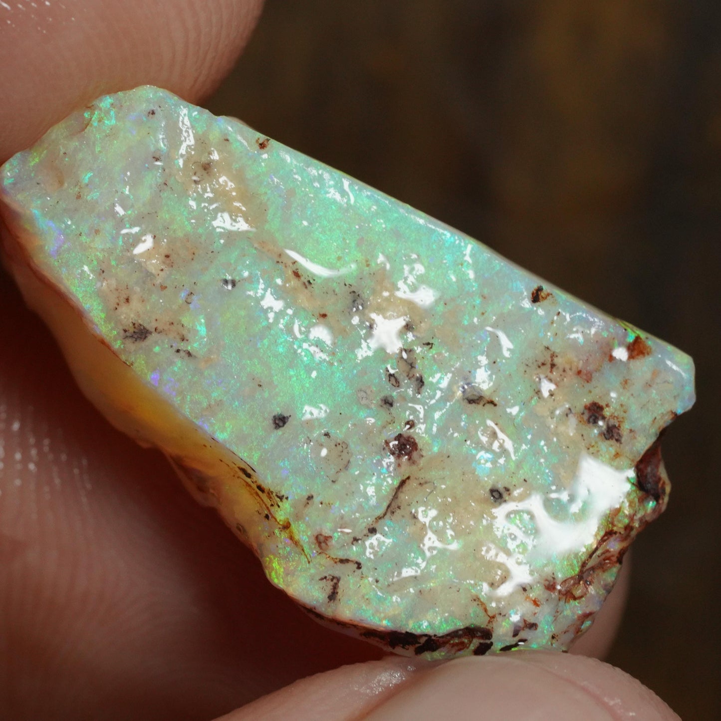 Australian Rough Opal