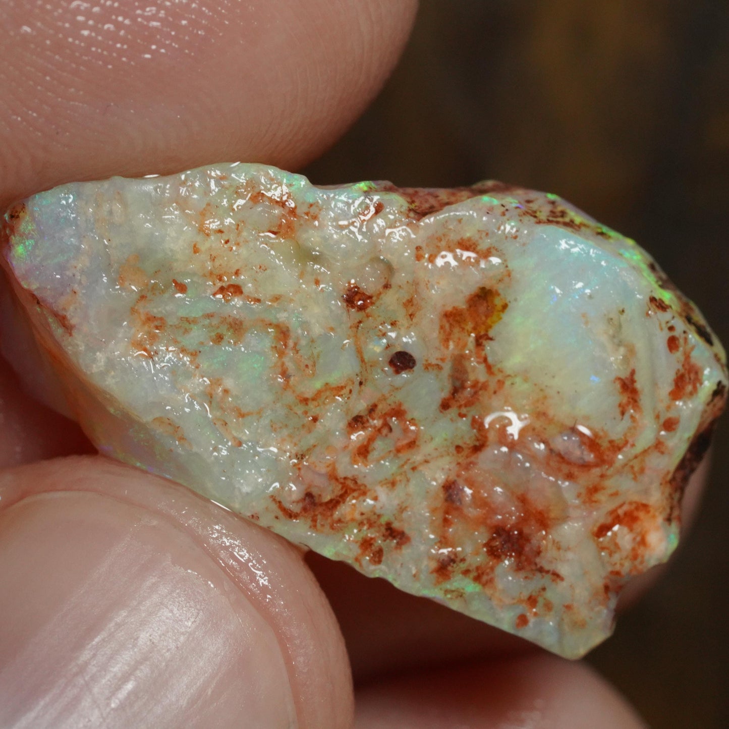 Australian Rough Opal