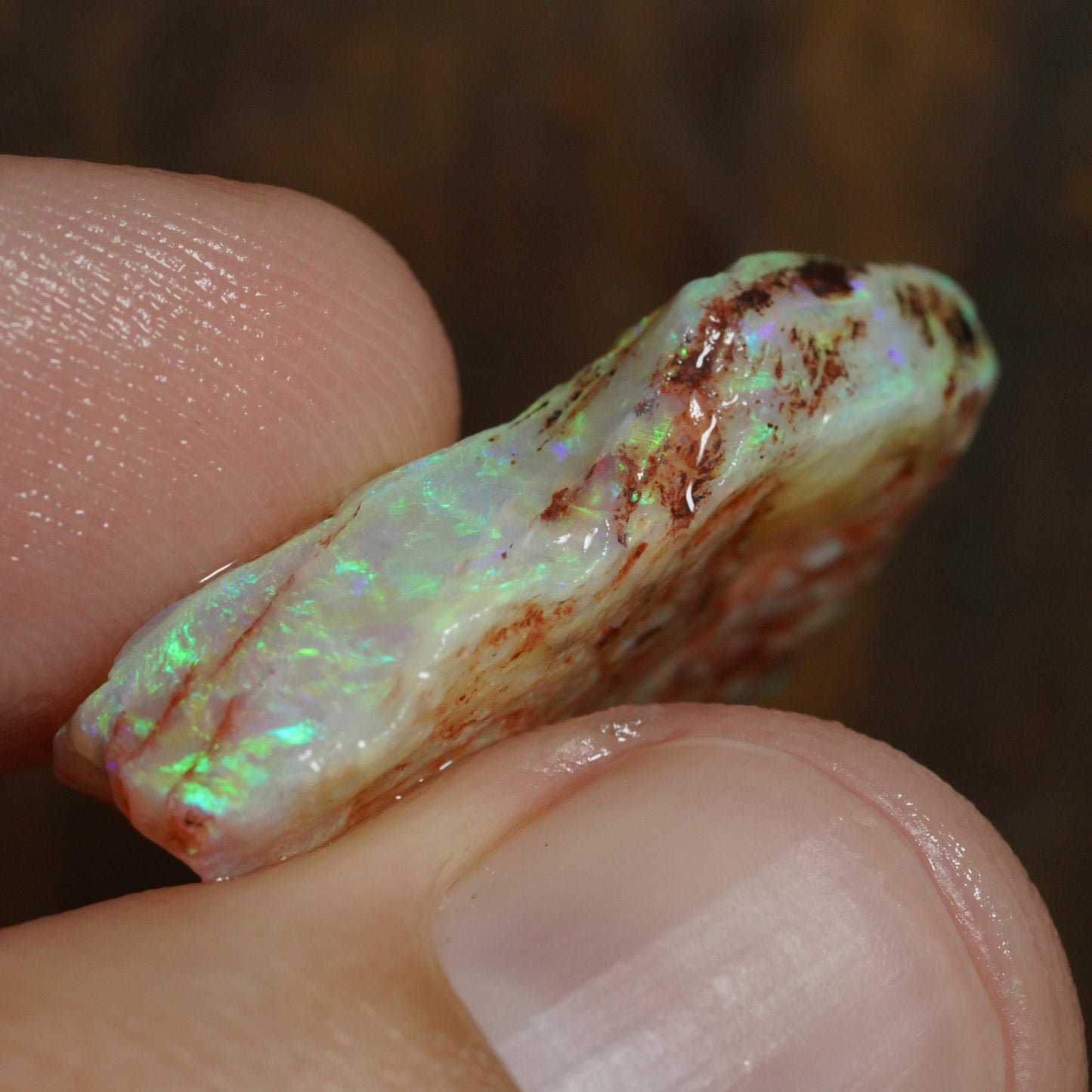 Australian Rough Opal