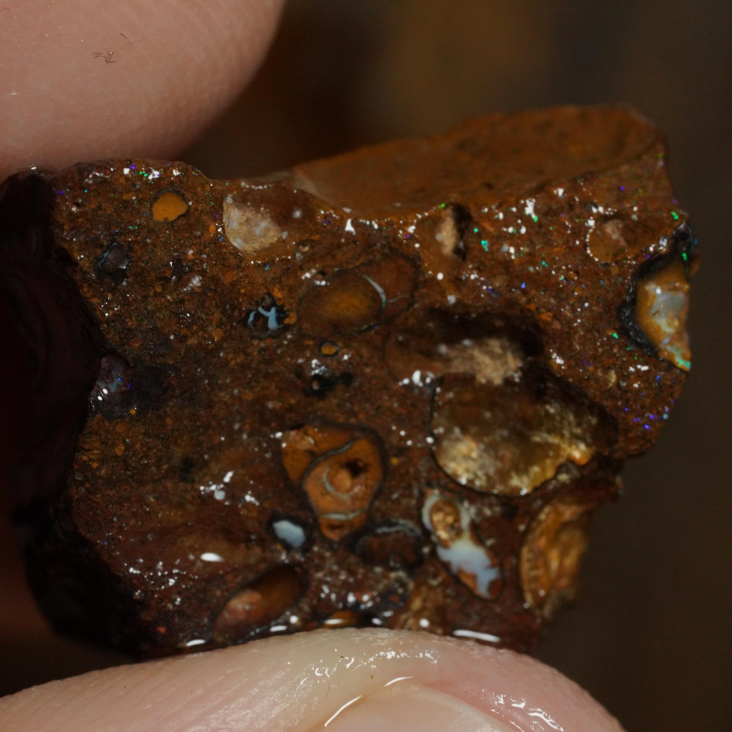 Boulder Opal