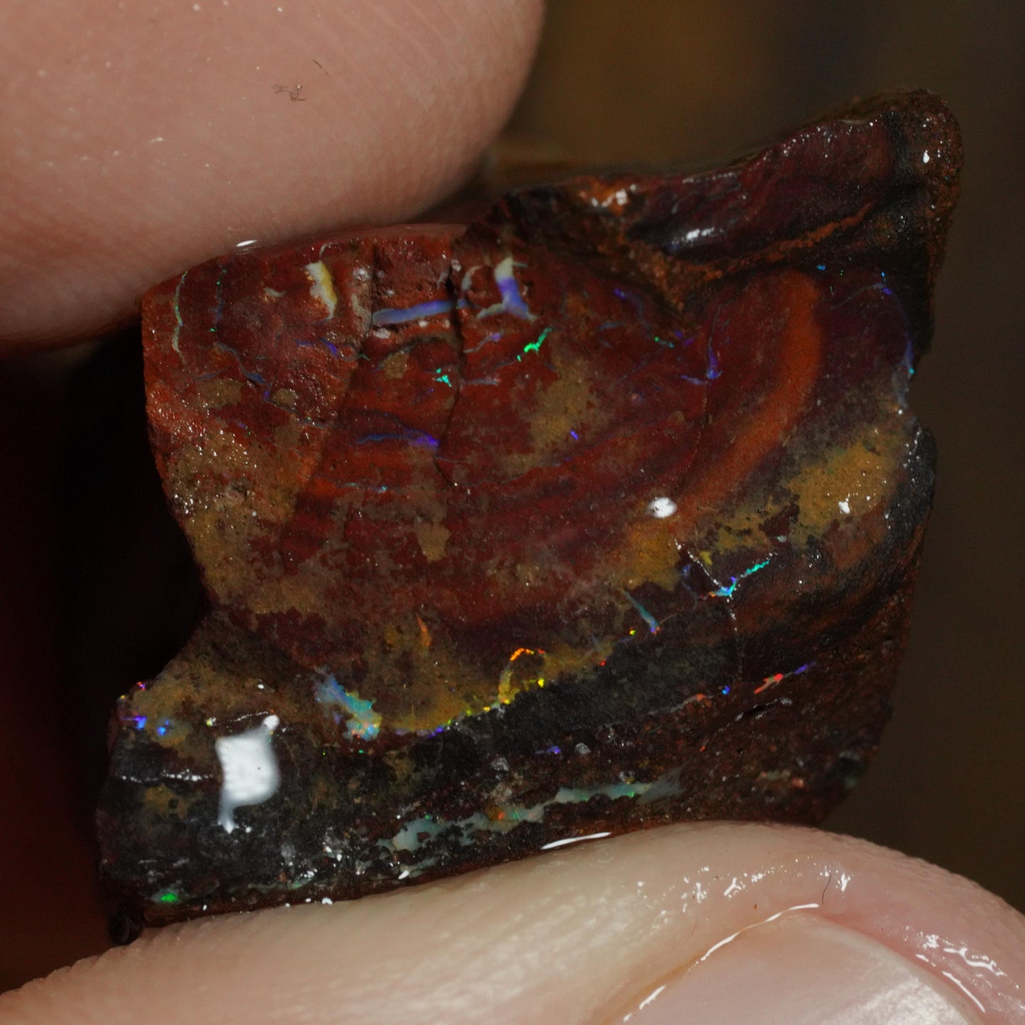 Boulder Opal