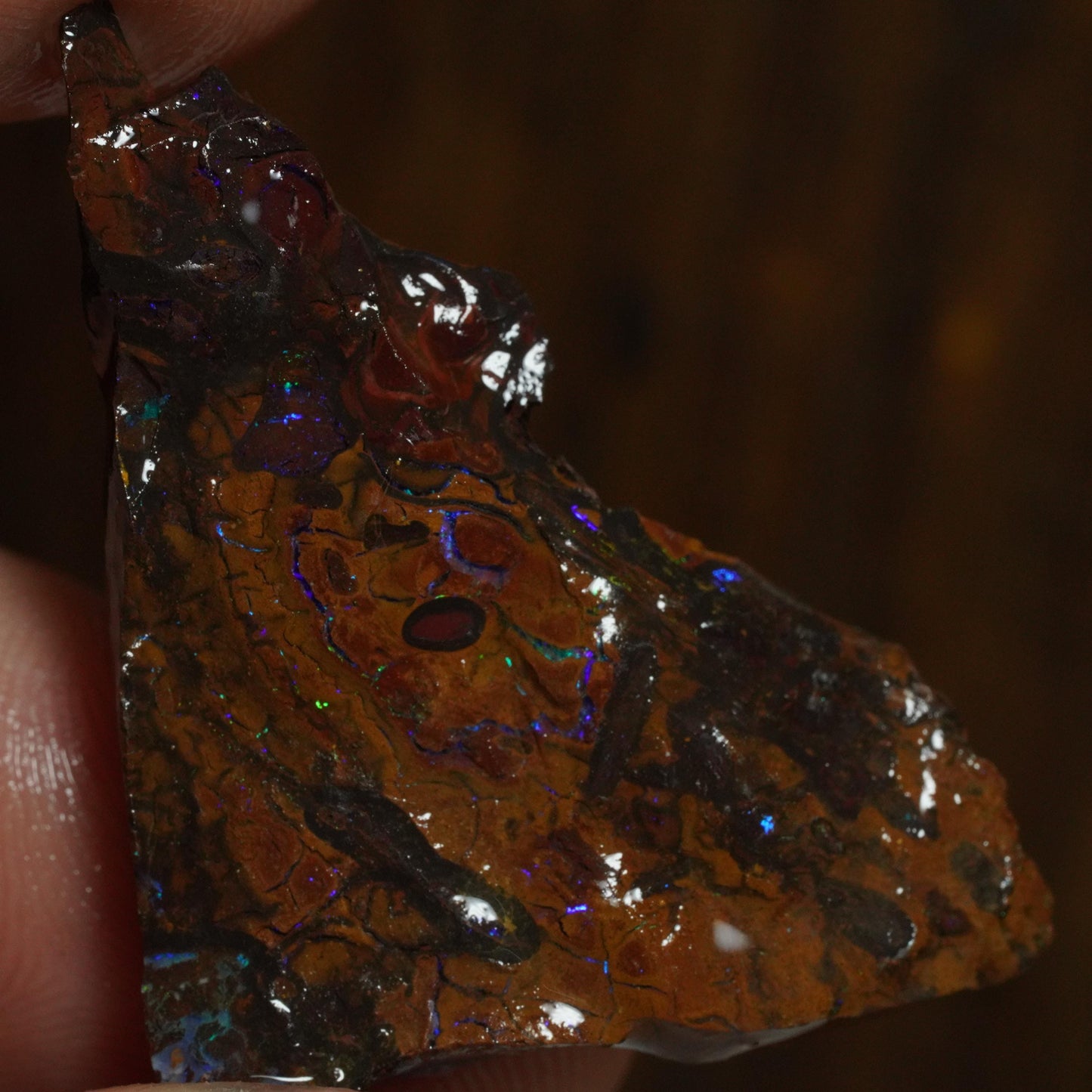Rough Boulder Opal