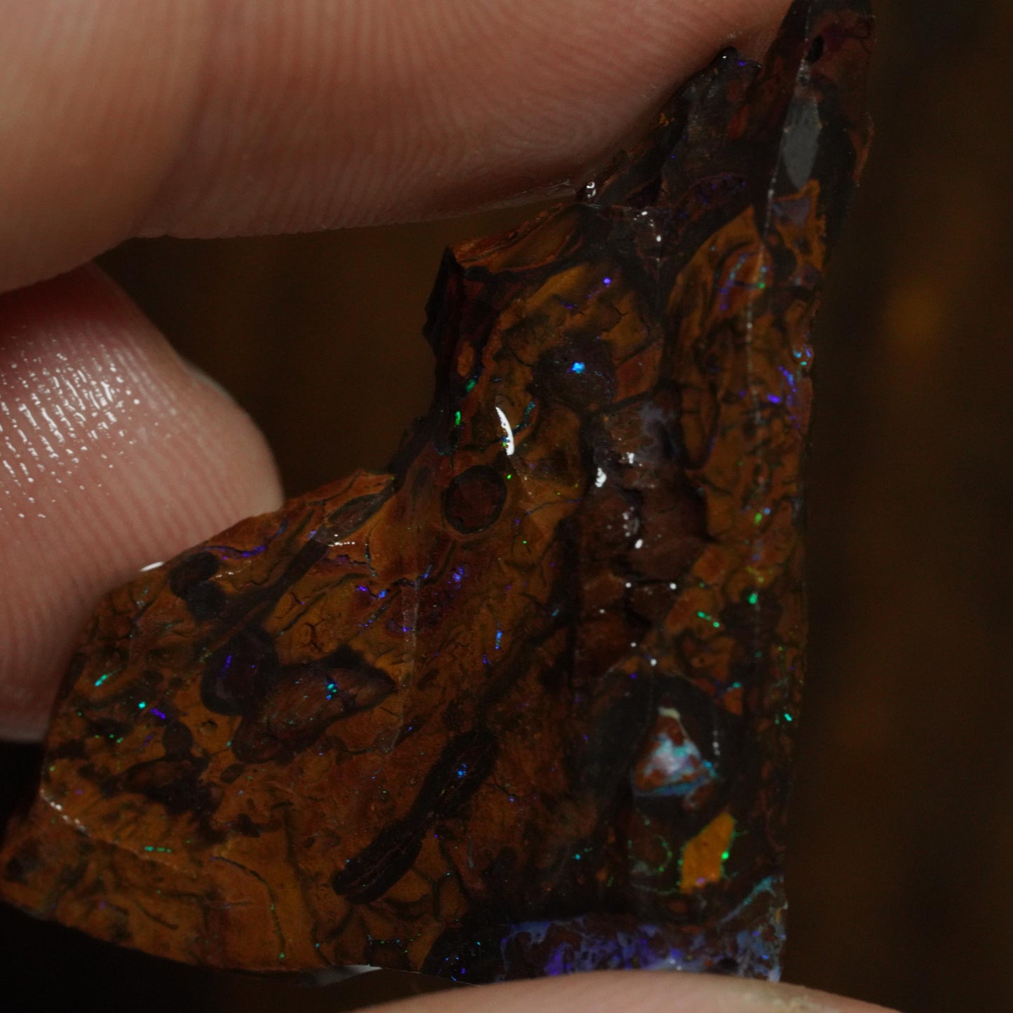 Rough Boulder Opal