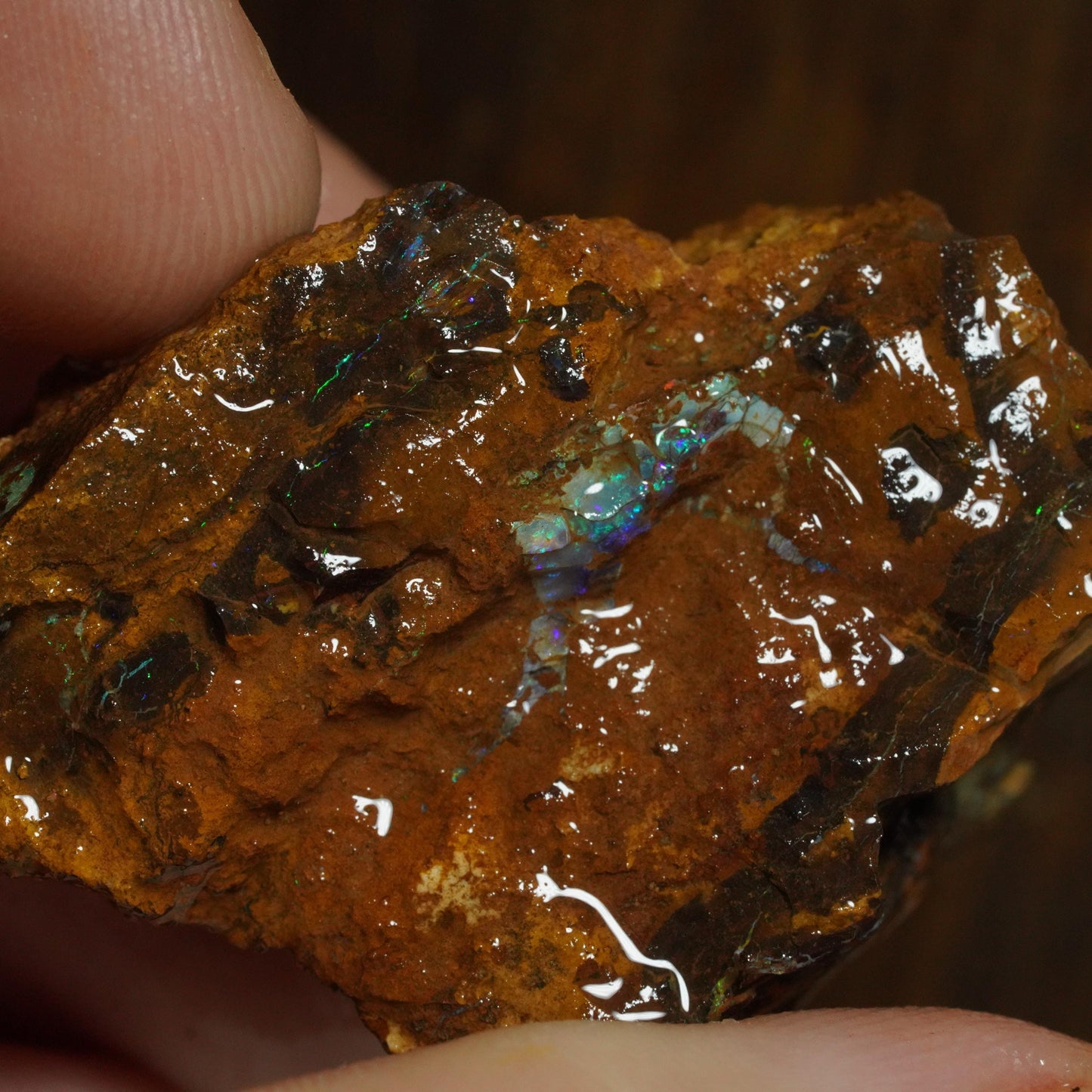 Rough Boulder Opal